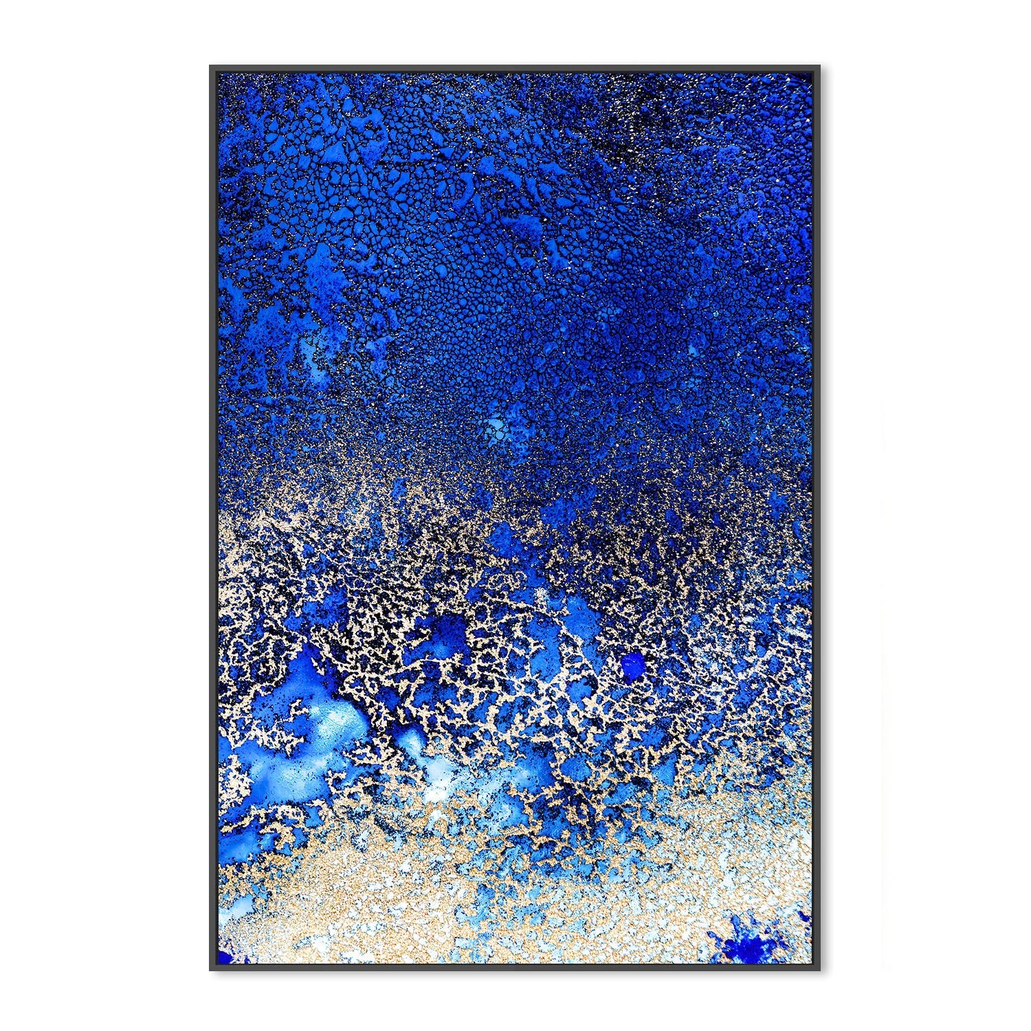 wall-art-print-canvas-poster-framed-Sunlit Reef, Style B , By Petra Meikle-3