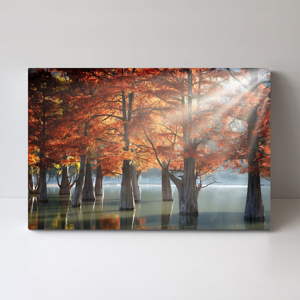 wall-art-print-canvas-poster-framed-Sunny Cypress Trees, By Dmitry Nesvetaylov-by-Plus X Studio-Gioia Wall Art