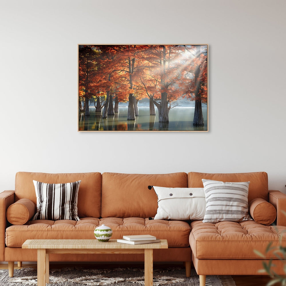 wall-art-print-canvas-poster-framed-Sunny Cypress Trees, By Dmitry Nesvetaylov-by-Plus X Studio-Gioia Wall Art