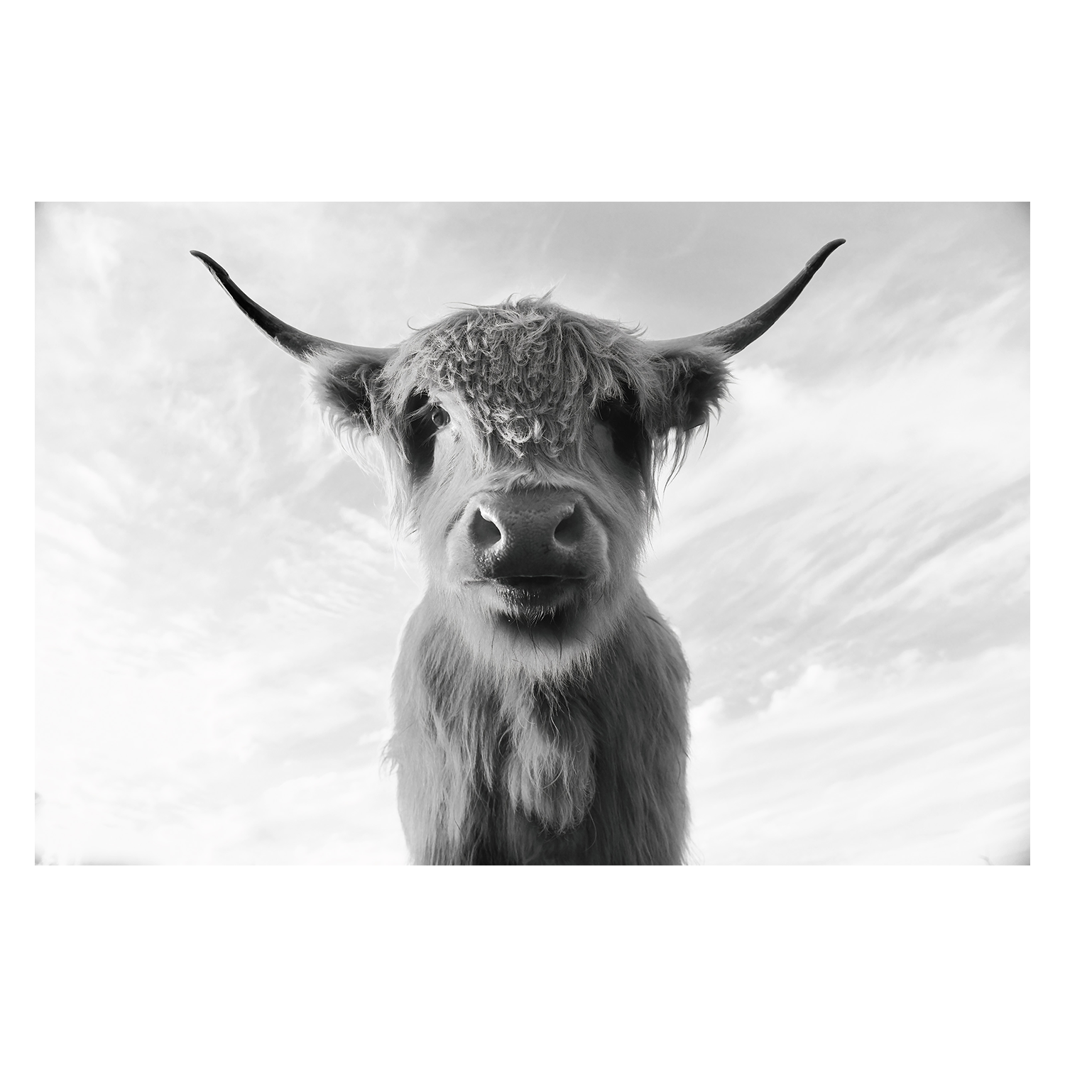 wall-art-print-canvas-poster-framed-The Boss , By Belinda Gerace-1