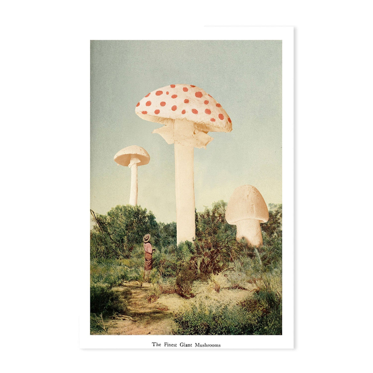 wall-art-print-canvas-poster-framed-The Finest Giant Mushrooms-GIOIA-WALL-ART