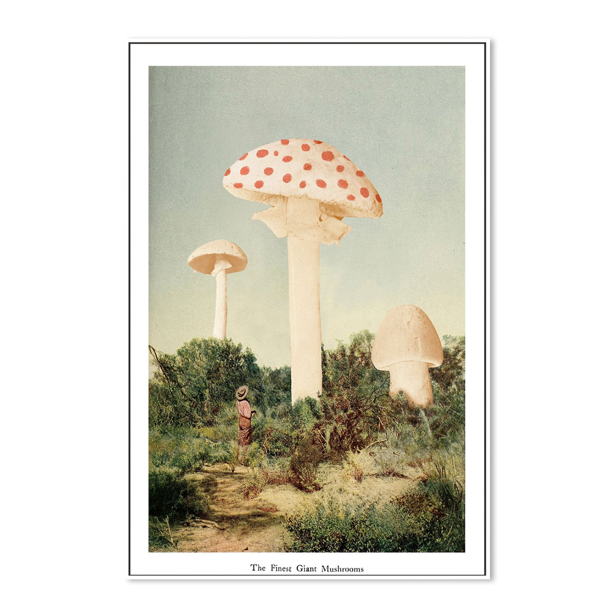 wall-art-print-canvas-poster-framed-The Finest Giant Mushrooms-GIOIA-WALL-ART