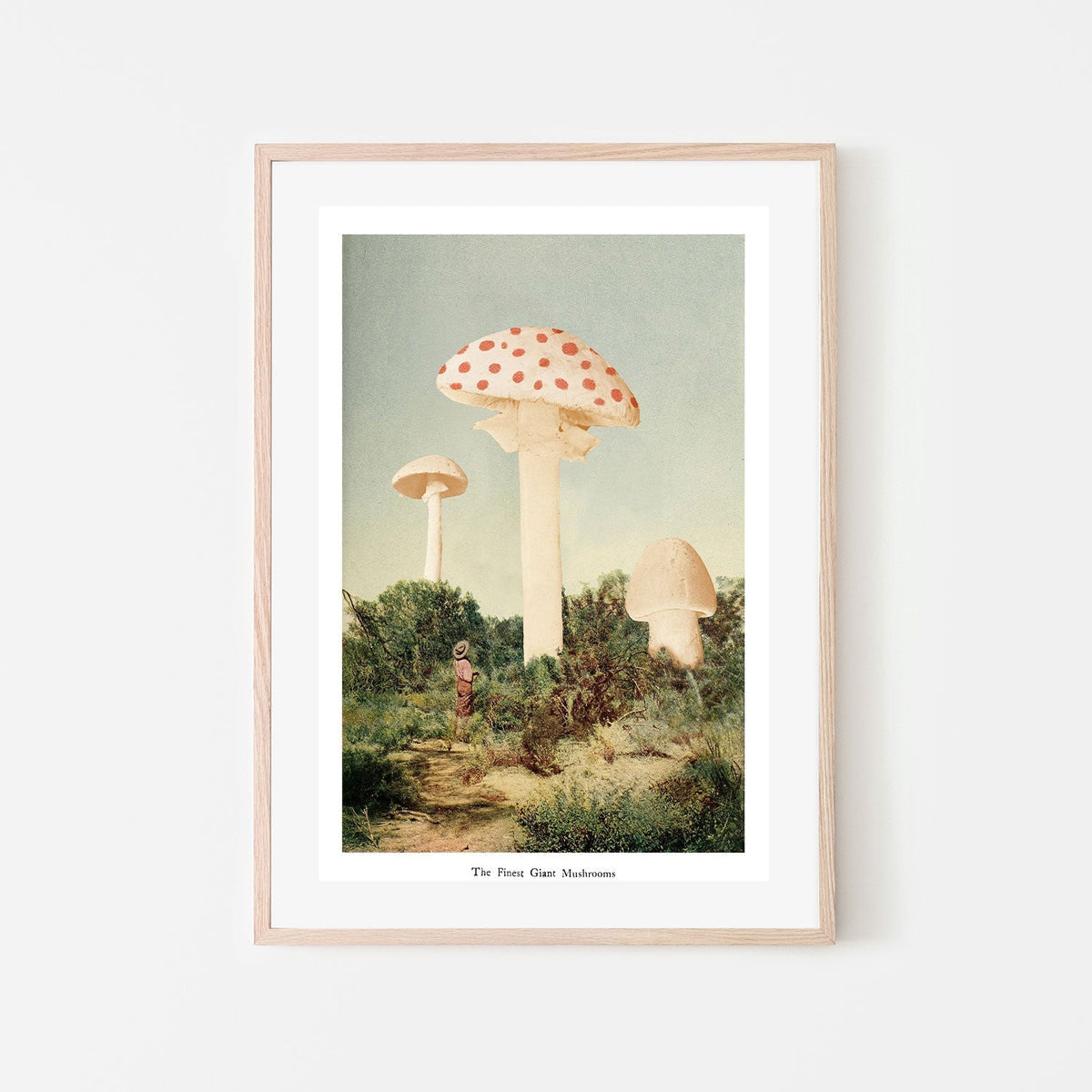 wall-art-print-canvas-poster-framed-The Finest Giant Mushrooms-GIOIA-WALL-ART