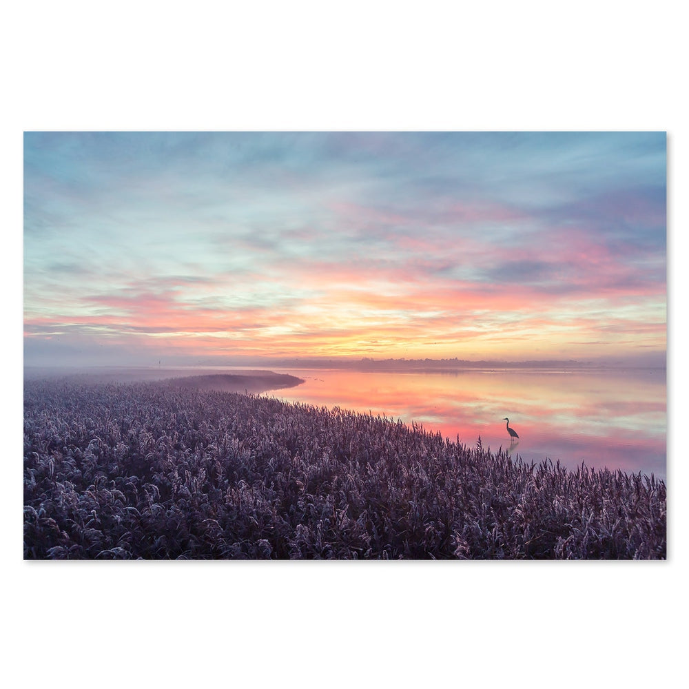 wall-art-print-canvas-poster-framed-The Heron'S Morning View, By Leif Løndal-by-Plus X Studio-Gioia Wall Art