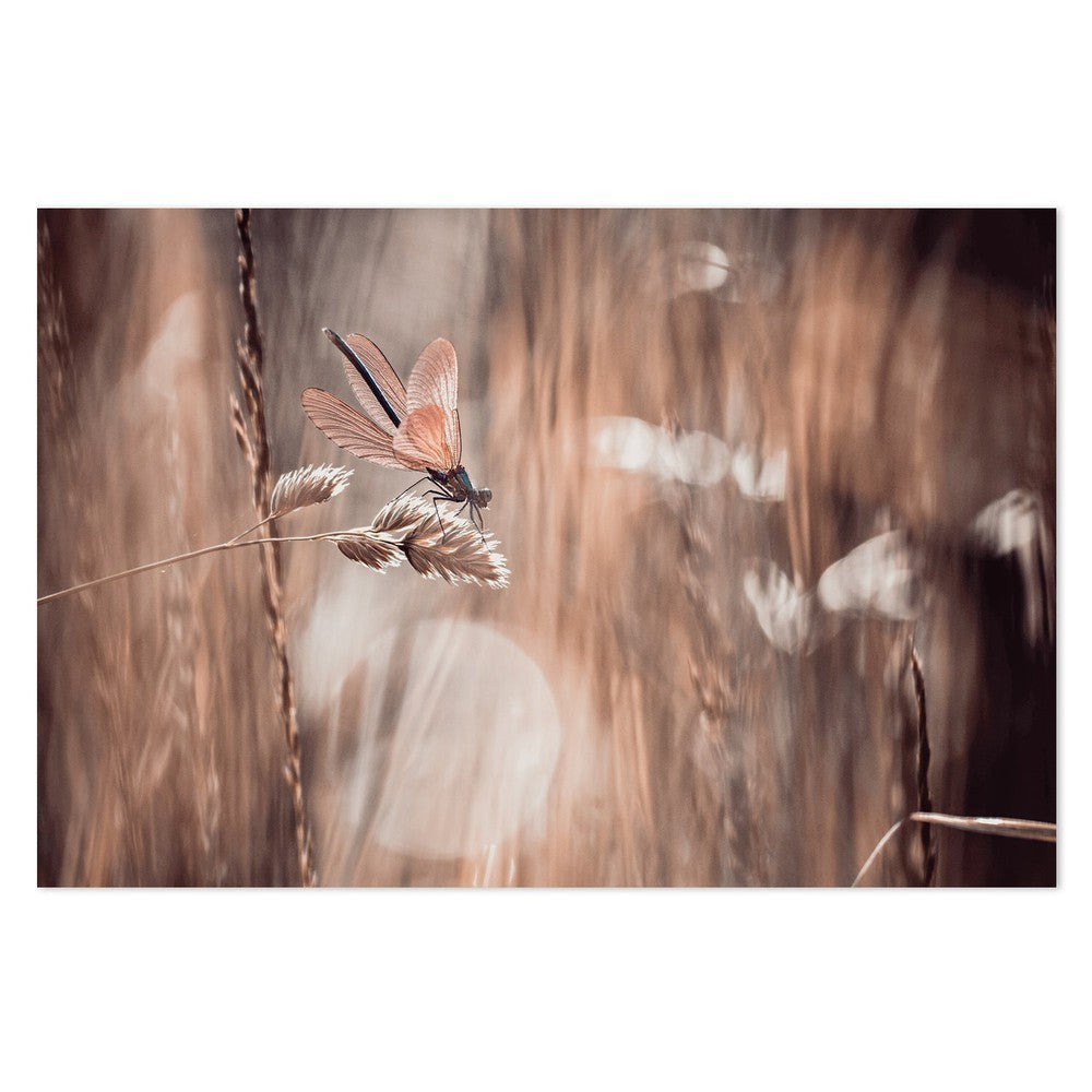 wall-art-print-canvas-poster-framed-The Little Nature Wonder, Set Of 2-by-Plus X Studio-Gioia Wall Art