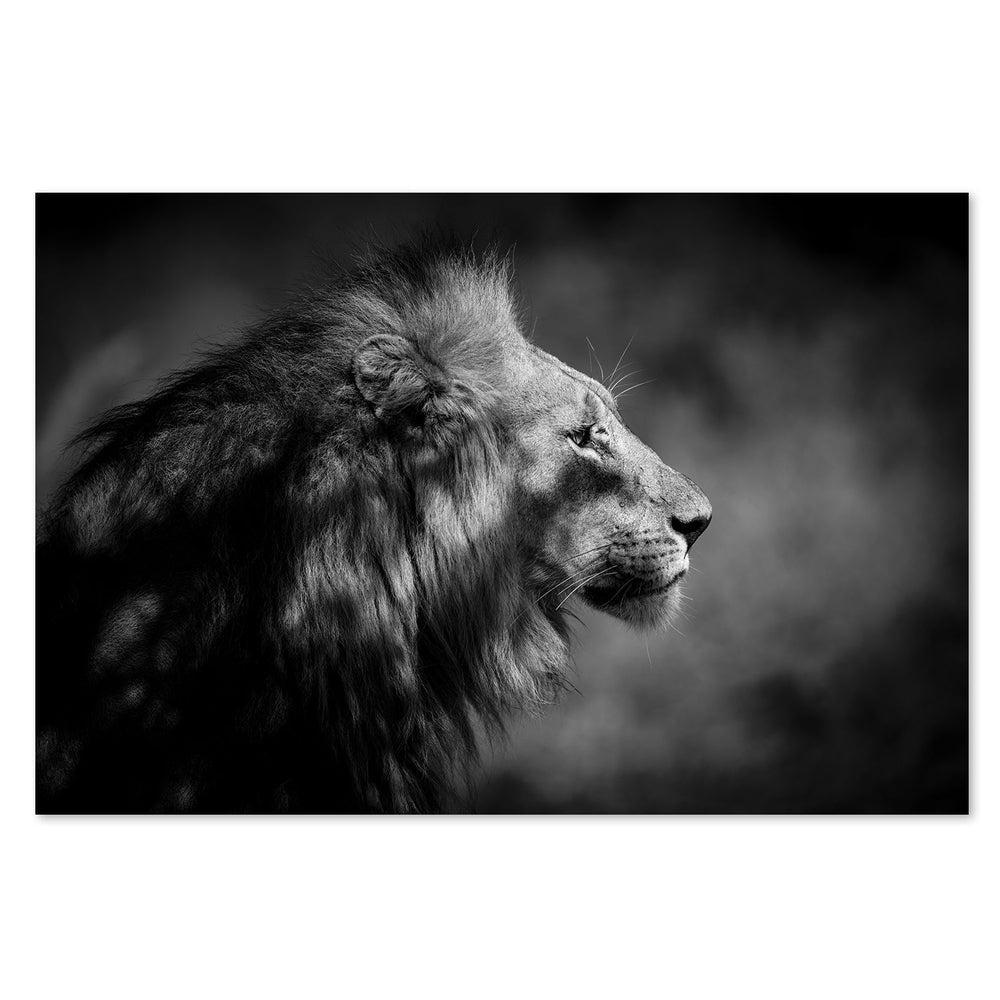 wall-art-print-canvas-poster-framed-The Male, By Xavier A-by-Plus X Studio-Gioia Wall Art