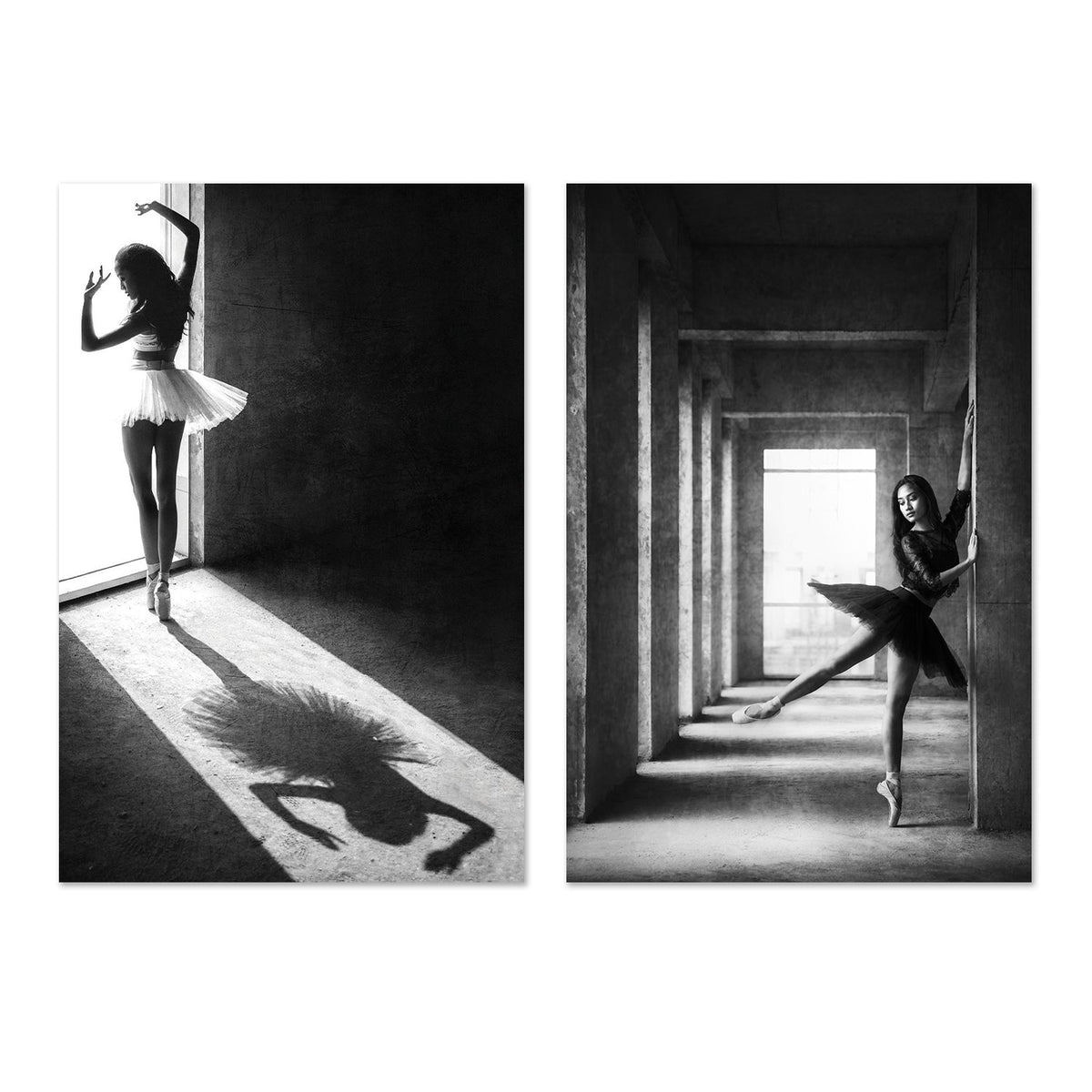 wall-art-print-canvas-poster-framed-The Shadow Dance, Set of 2-by-Plus X Studio-Gioia Wall Art