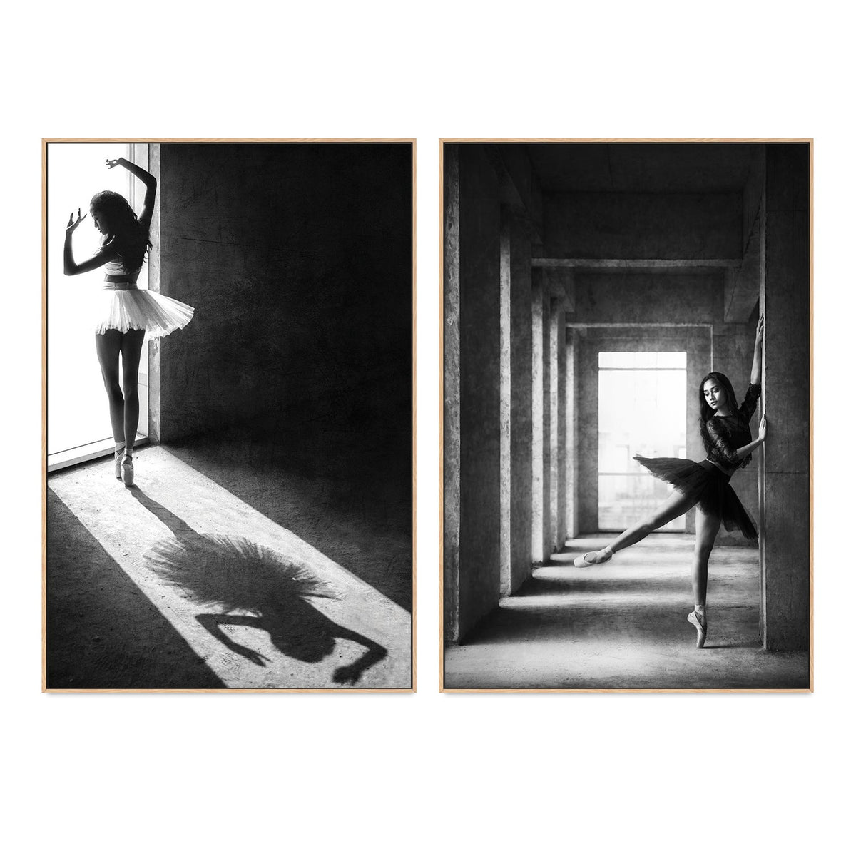 wall-art-print-canvas-poster-framed-The Shadow Dance, Set of 2-by-Plus X Studio-Gioia Wall Art
