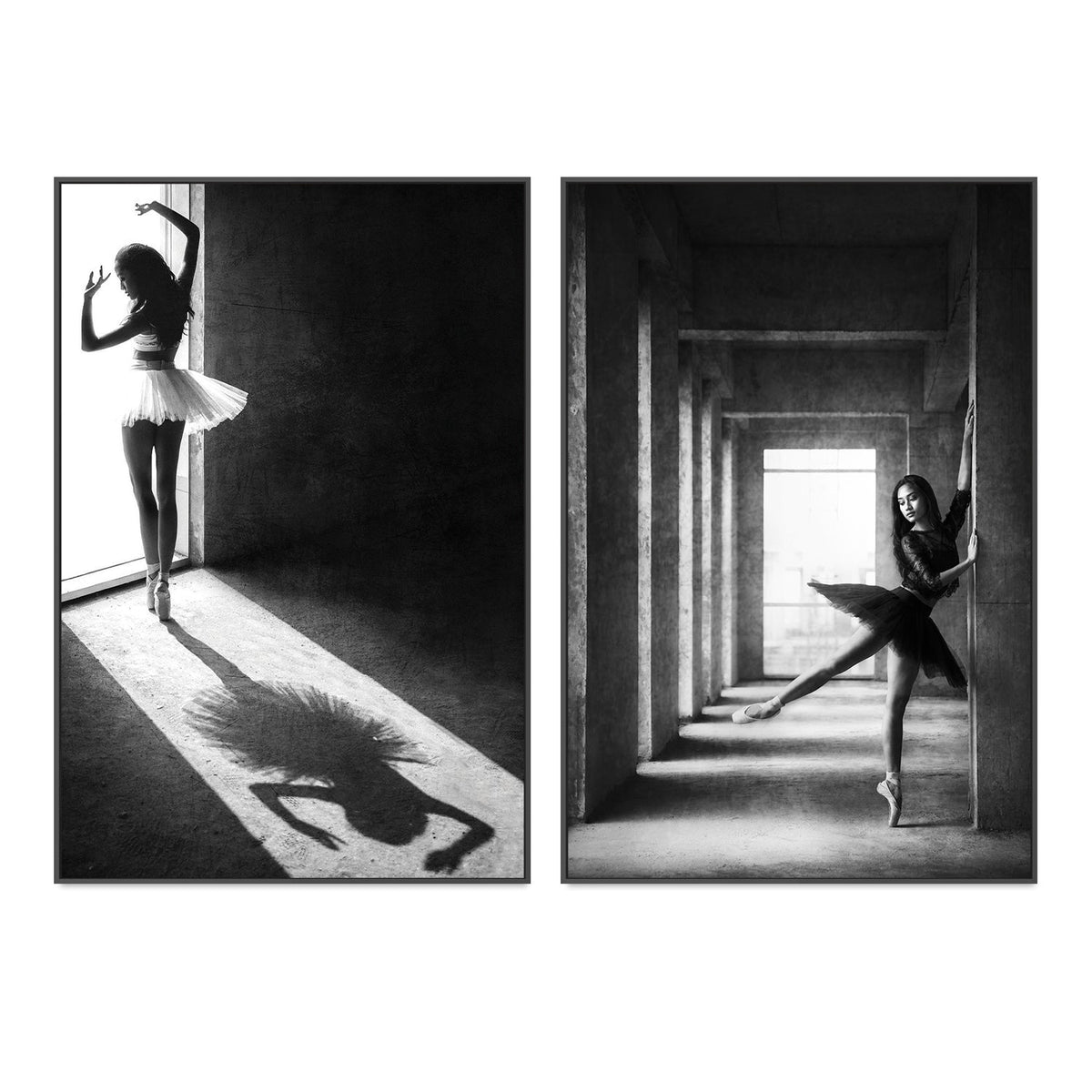 wall-art-print-canvas-poster-framed-The Shadow Dance, Set of 2-by-Plus X Studio-Gioia Wall Art