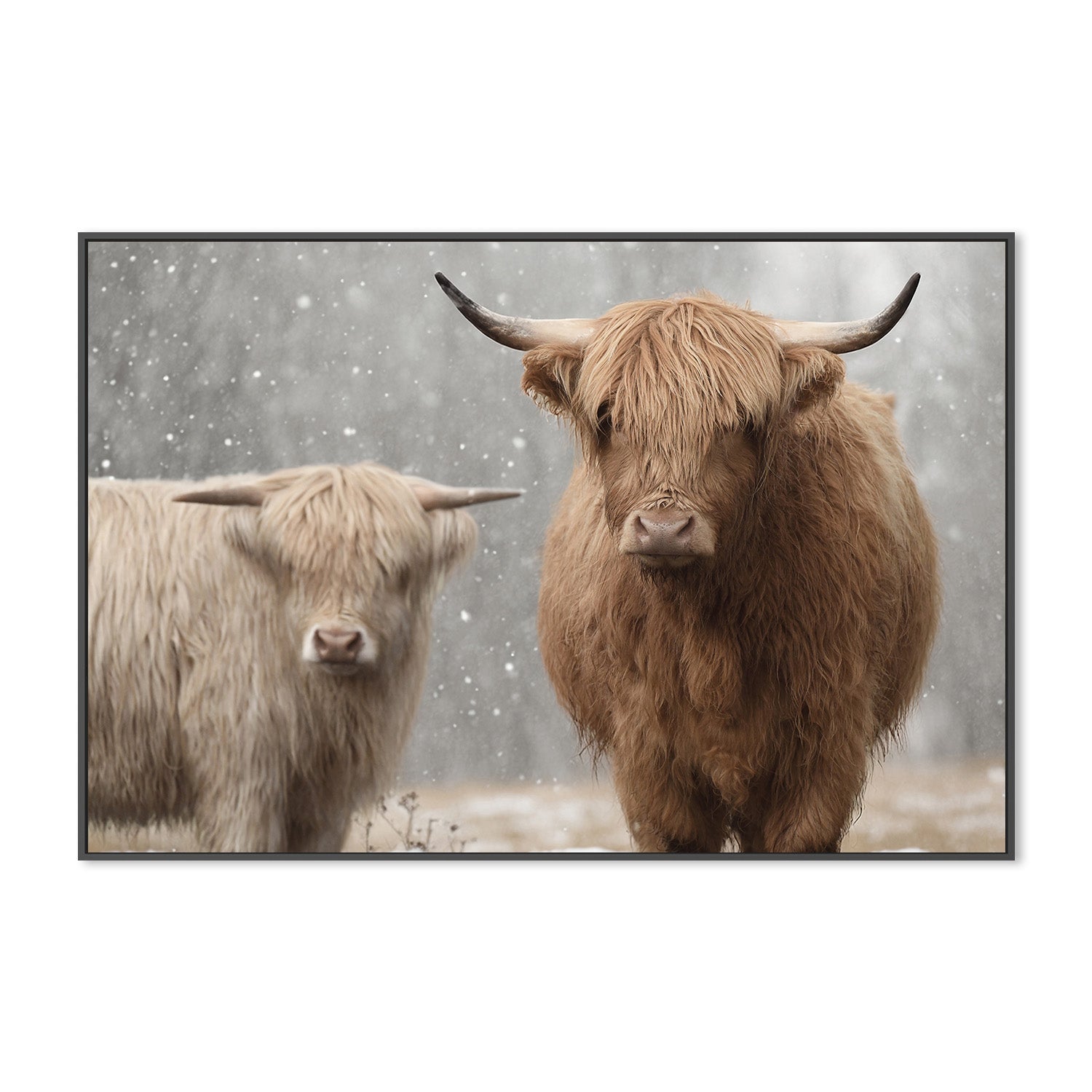 wall-art-print-canvas-poster-framed-The Special Two , By Belinda Gerace-3