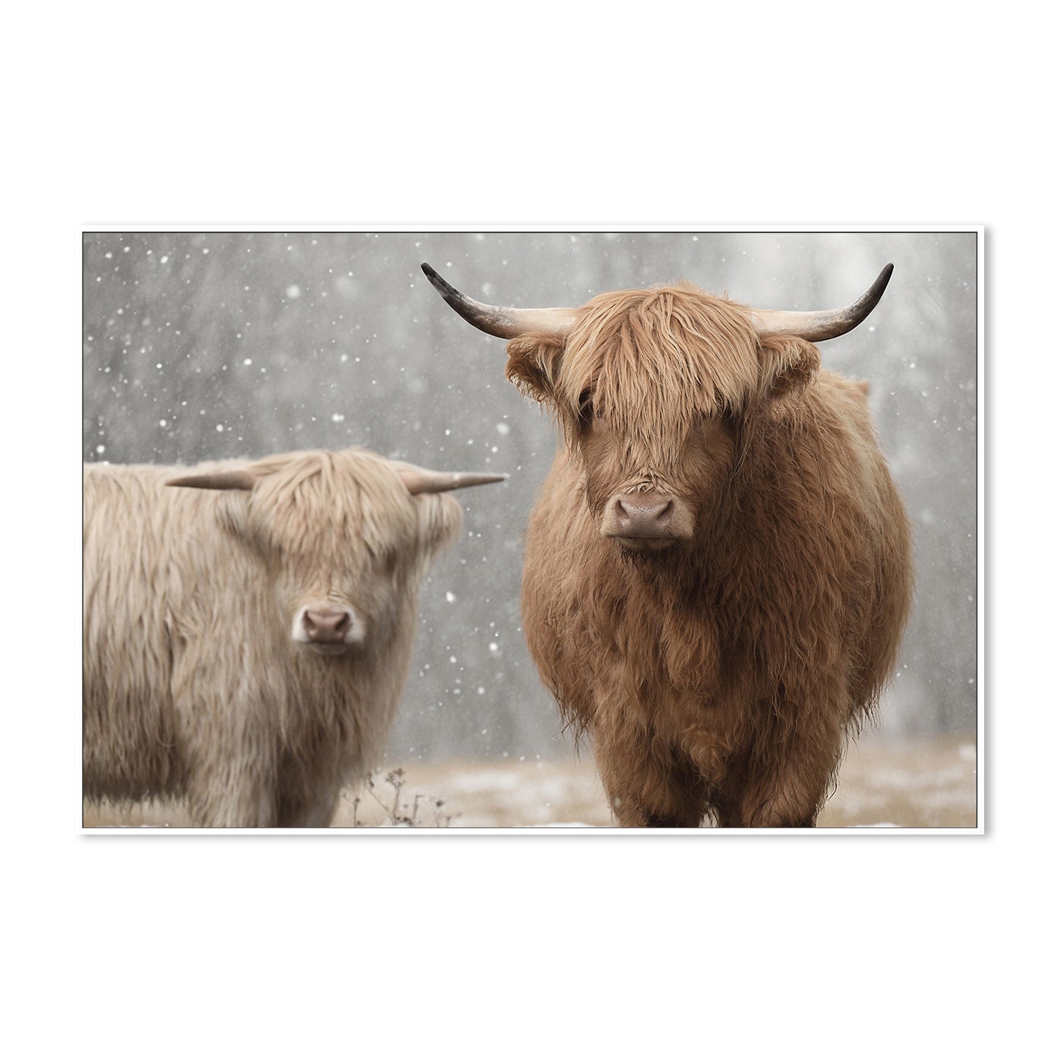 wall-art-print-canvas-poster-framed-The Special Two , By Belinda Gerace-5