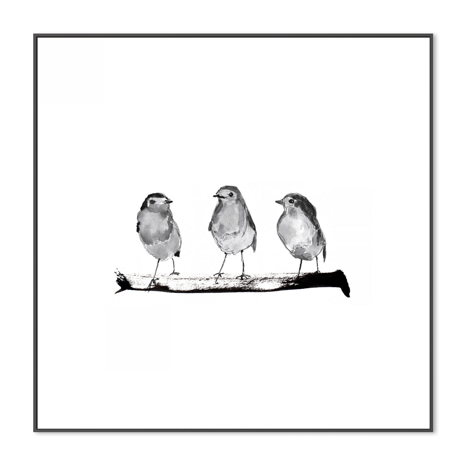 wall-art-print-canvas-poster-framed-Three Robins On A Branch , By Danushka Abeygoda-3