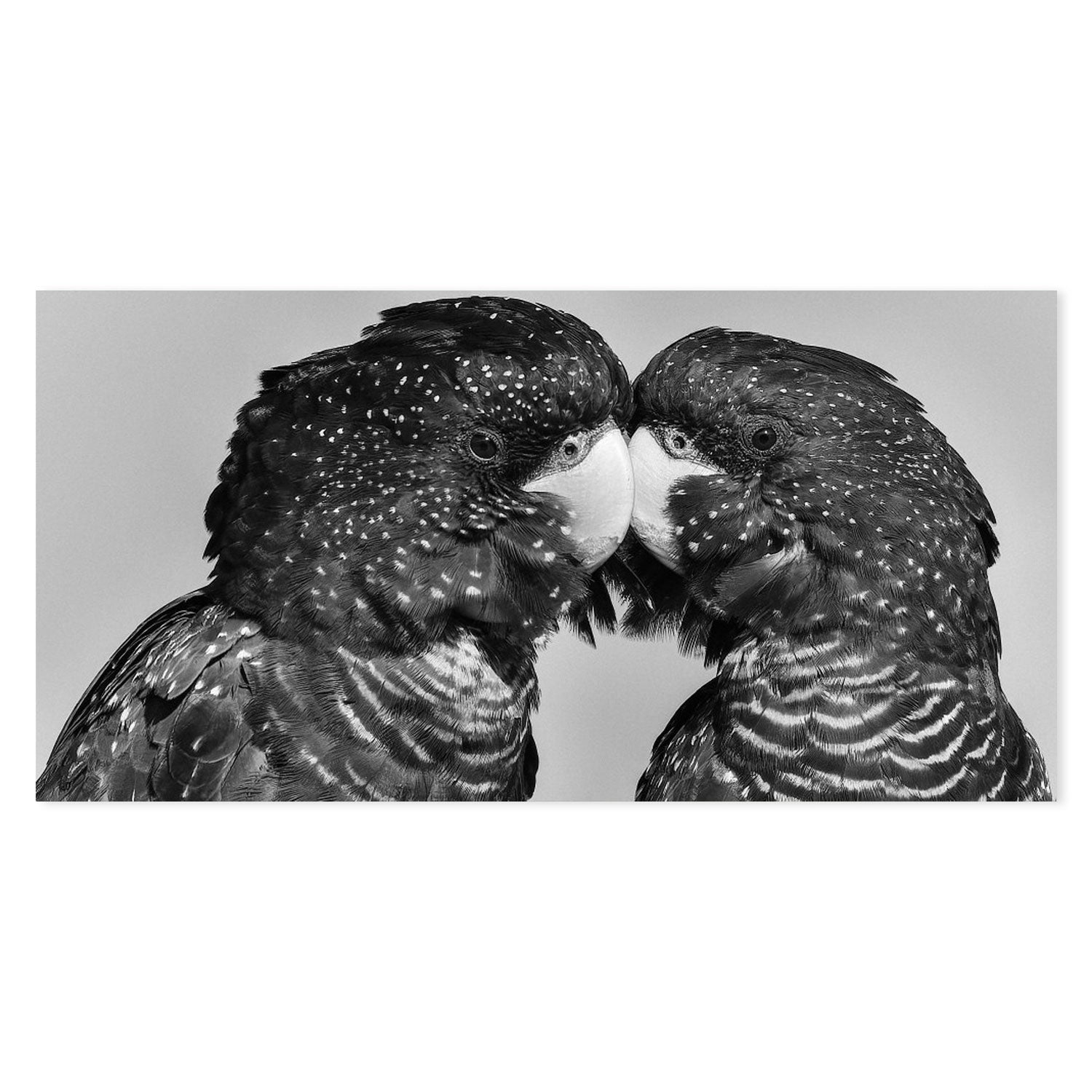 wall-art-print-canvas-poster-framed-Time To Smootch, by Susan Moss-by-Plus X Studio-Gioia Wall Art