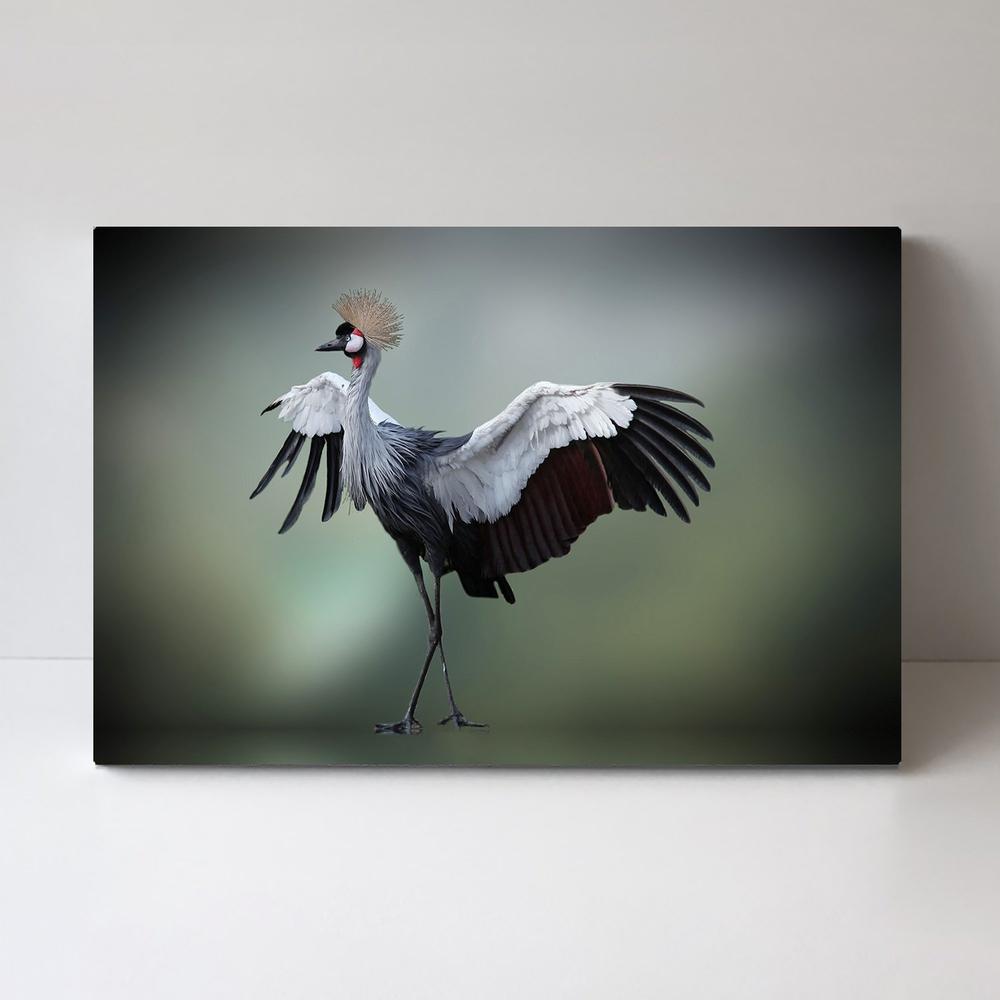 wall-art-print-canvas-poster-framed-Top Model In The Photos Studio, By Anna Cseresnjes-by-Plus X Studio-Gioia Wall Art