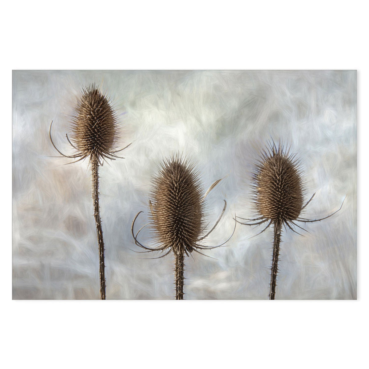 wall-art-print-canvas-poster-framed-Triplet, by Gilbert Claes-by-Plus X Studio-Gioia Wall Art