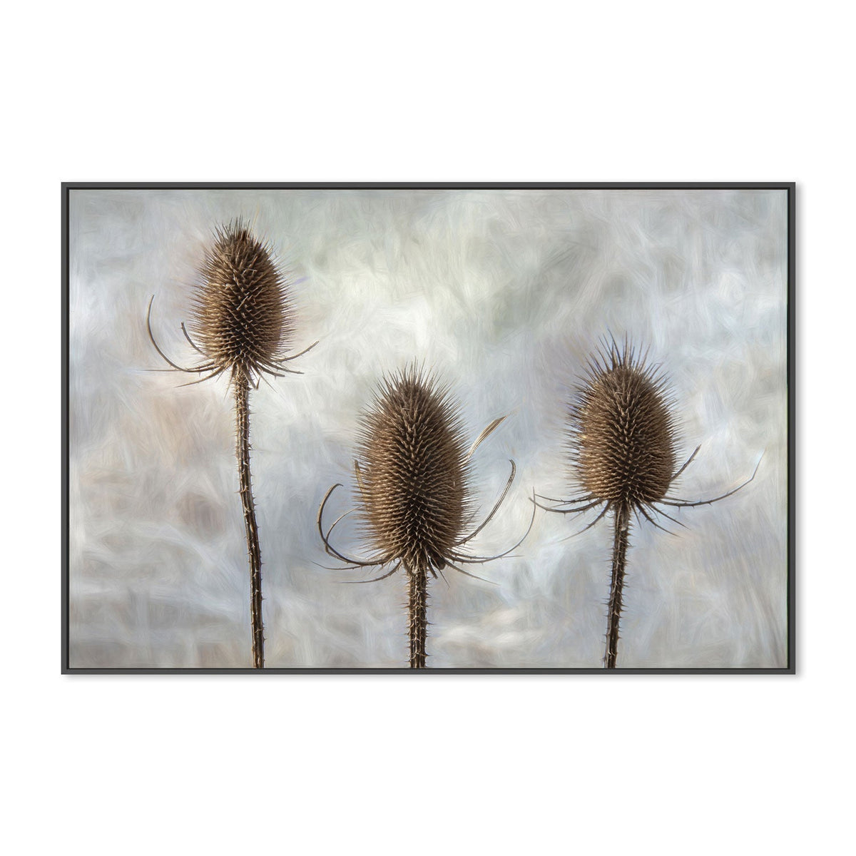 wall-art-print-canvas-poster-framed-Triplet, by Gilbert Claes-by-Plus X Studio-Gioia Wall Art