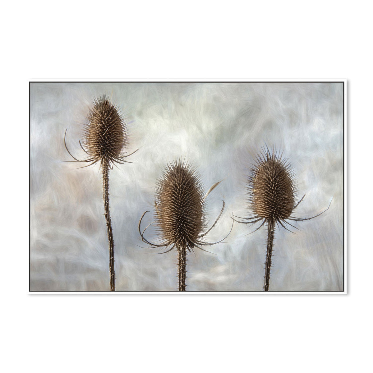 wall-art-print-canvas-poster-framed-Triplet, by Gilbert Claes-by-Plus X Studio-Gioia Wall Art