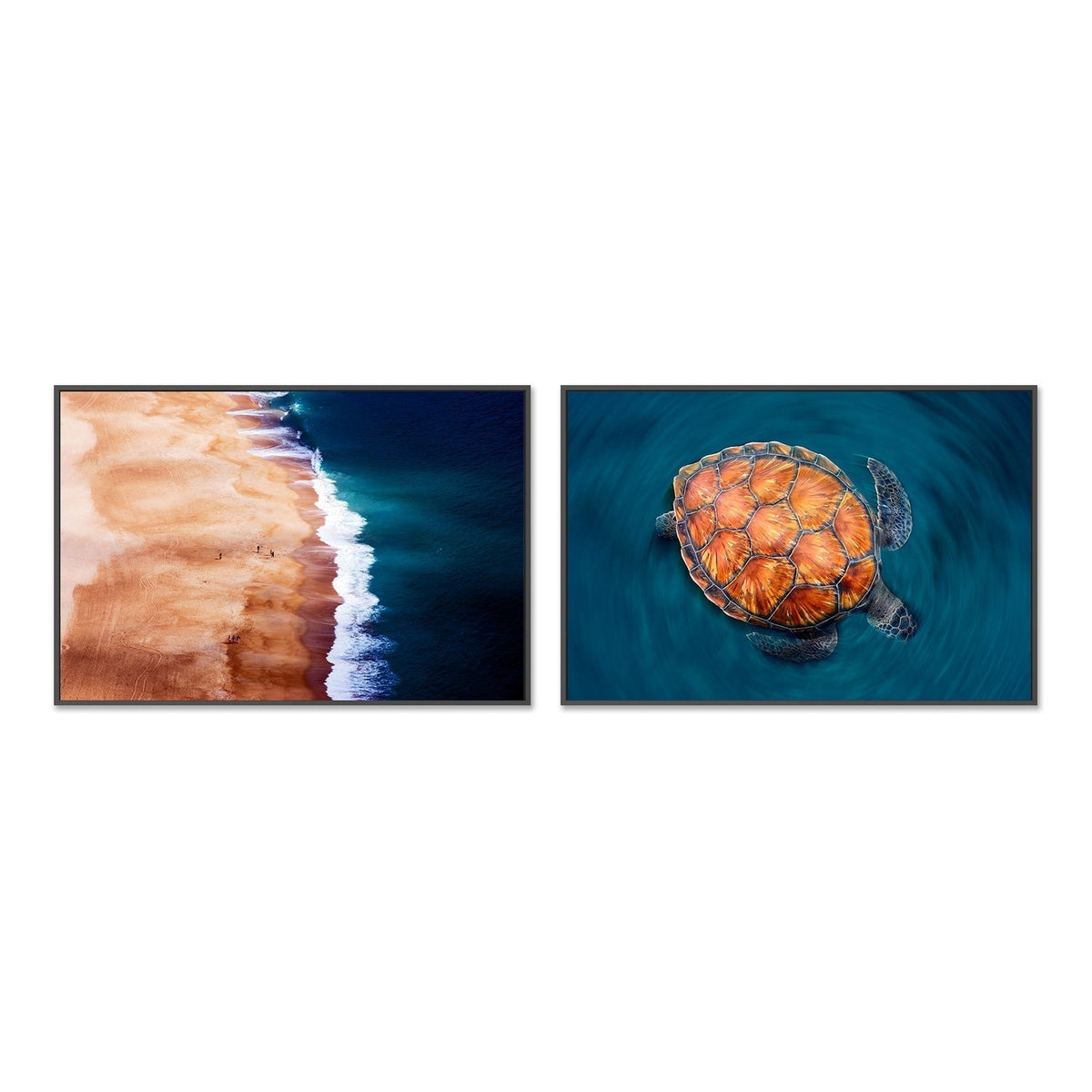 wall-art-print-canvas-poster-framed-Turtle in the silver coast, Set of 2-by-Plus X Studio-Gioia Wall Art