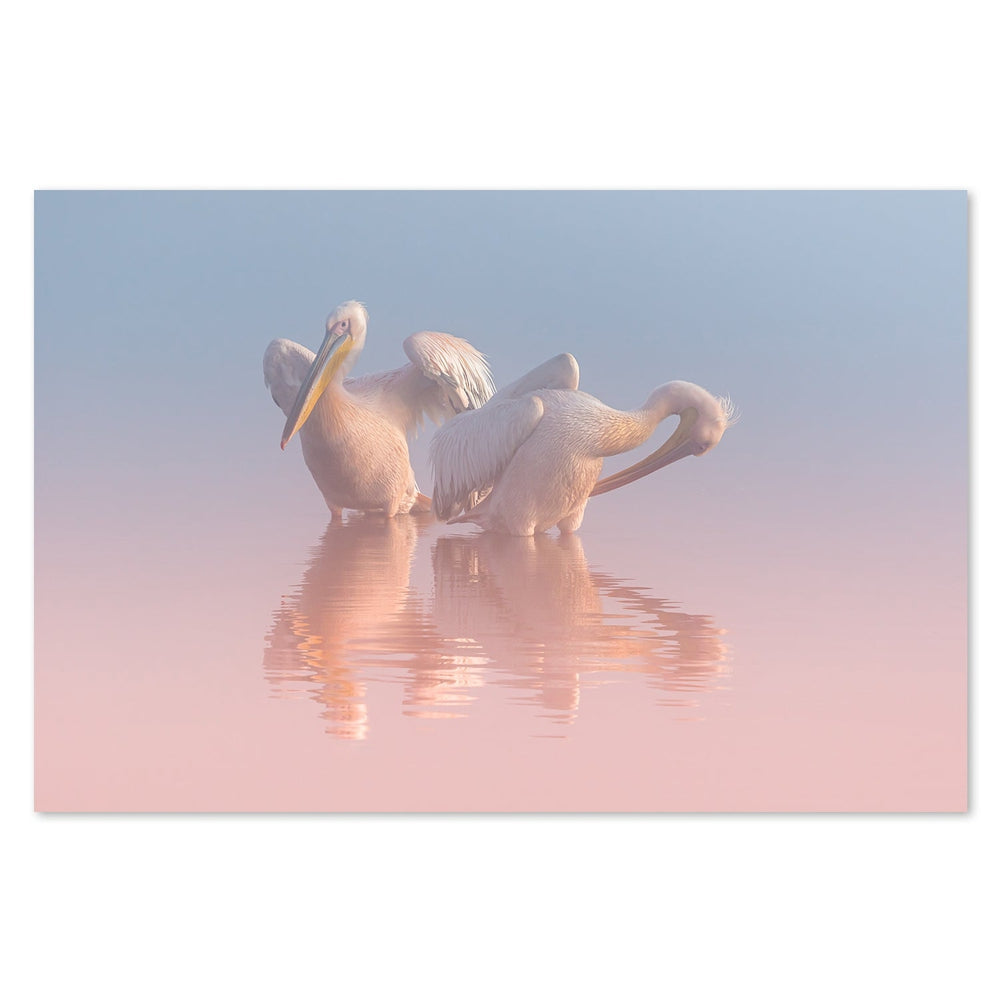 wall-art-print-canvas-poster-framed-Two Pelicans, By Natalia Rublina-by-Plus X Studio-Gioia Wall Art