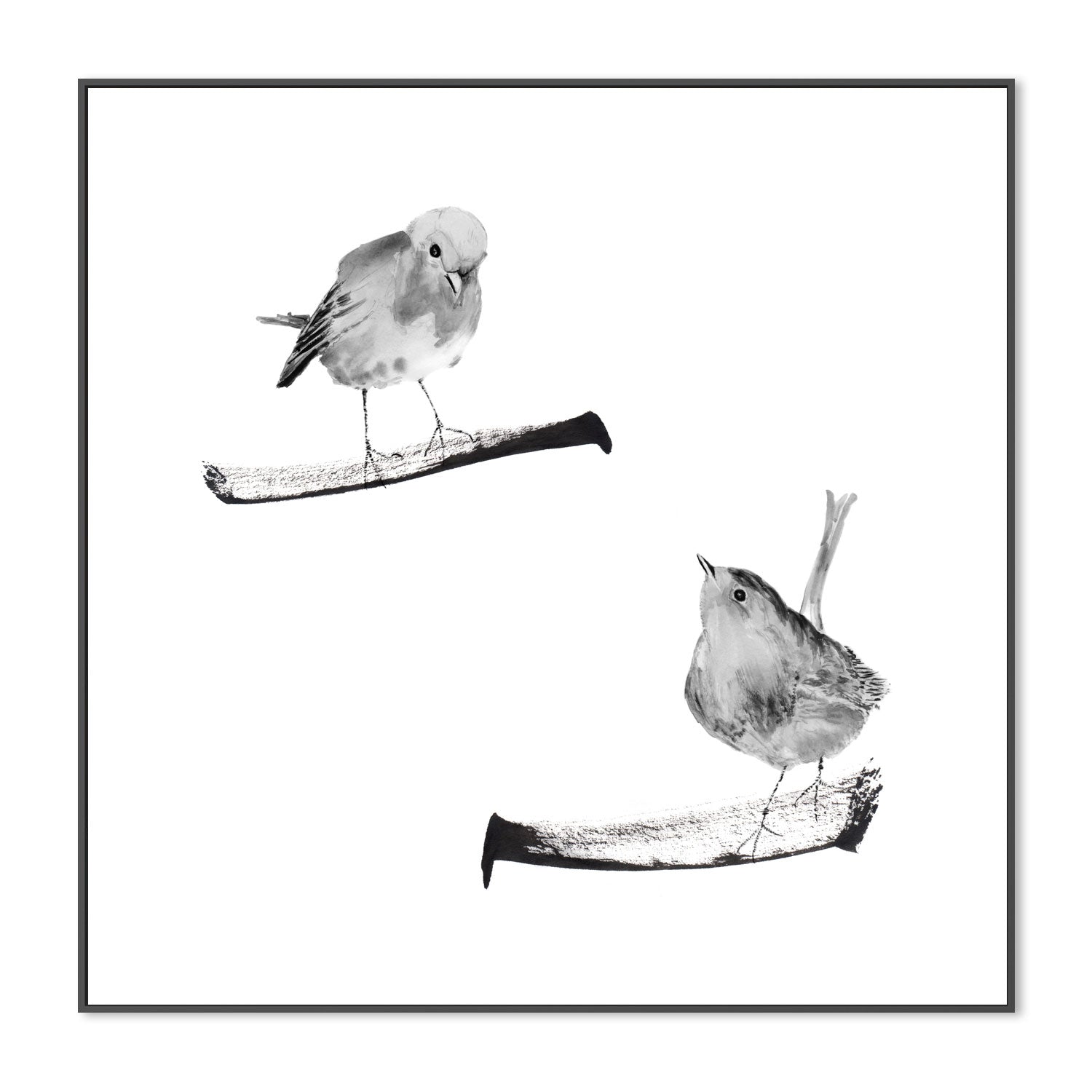 wall-art-print-canvas-poster-framed-Two Robins On Branches , By Danushka Abeygoda-3