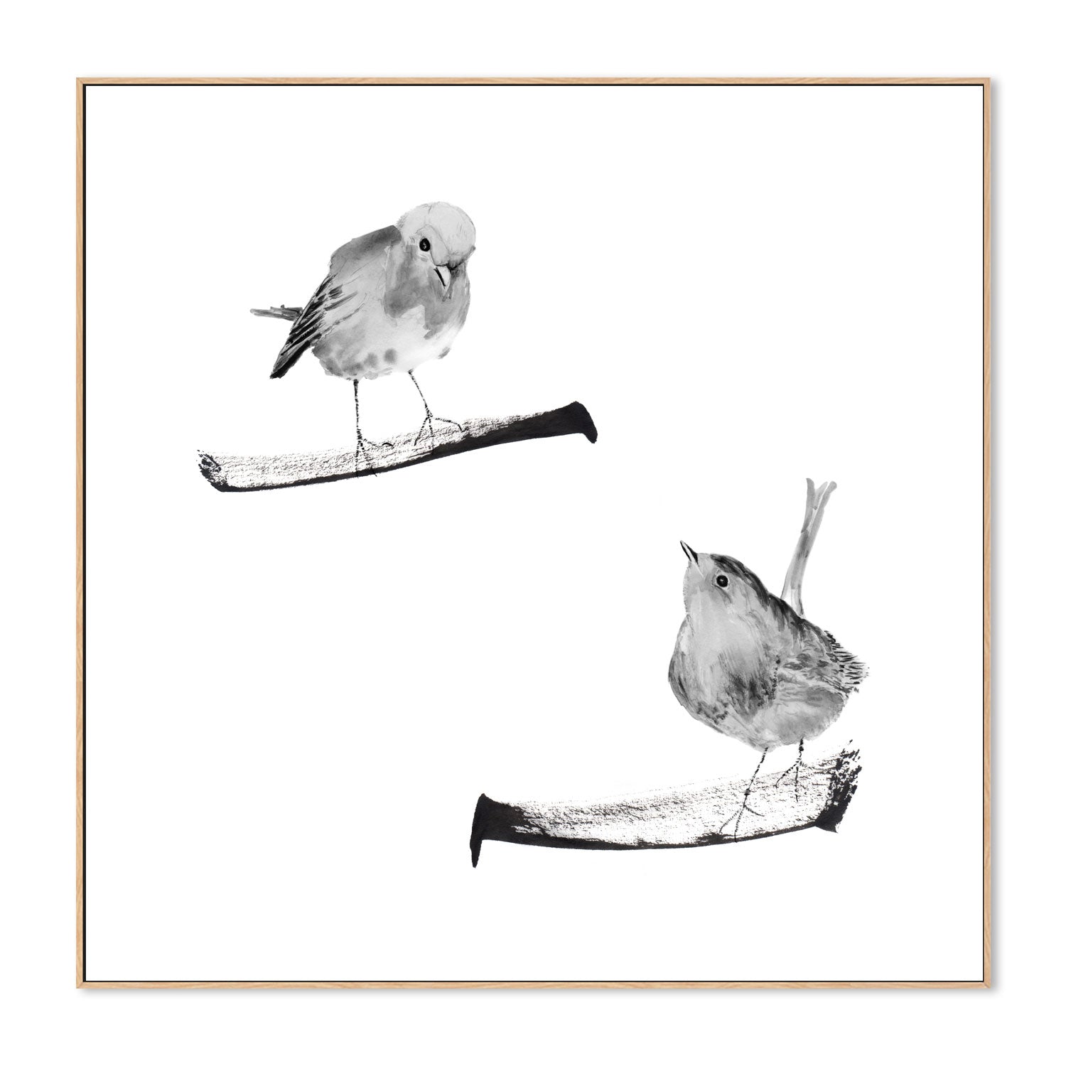 wall-art-print-canvas-poster-framed-Two Robins On Branches , By Danushka Abeygoda-4