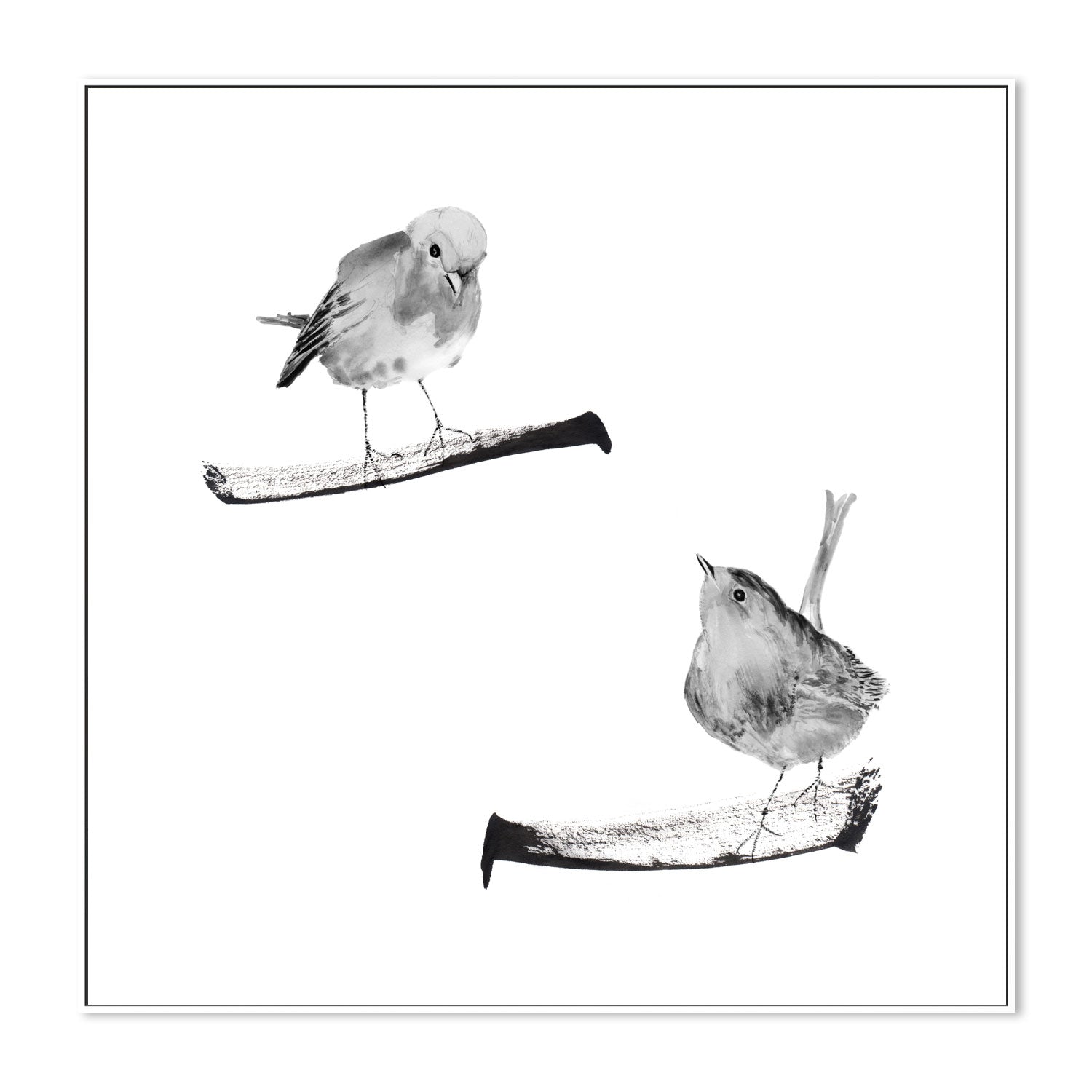 wall-art-print-canvas-poster-framed-Two Robins On Branches , By Danushka Abeygoda-5