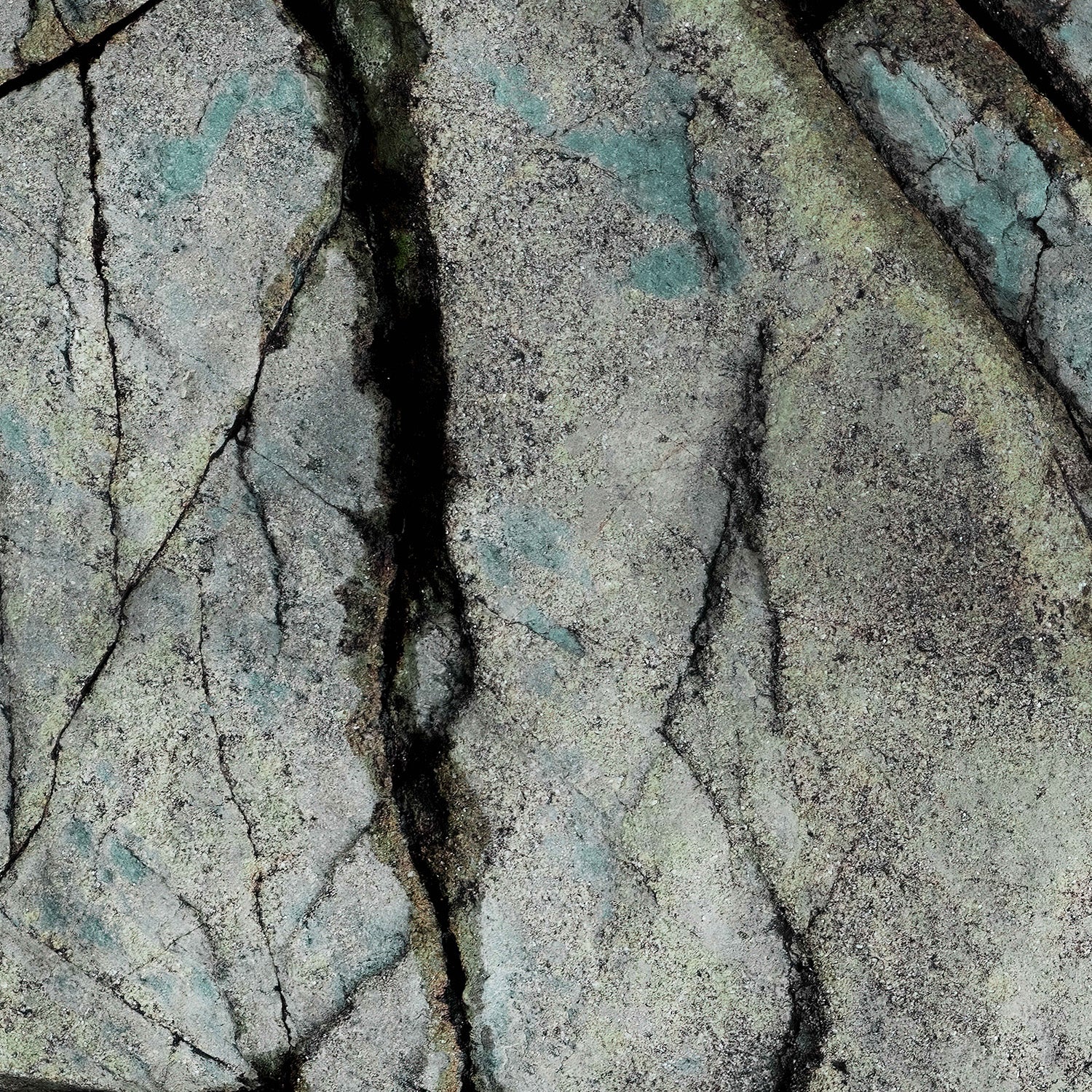 wall-art-print-canvas-poster-framed-Understory-10
