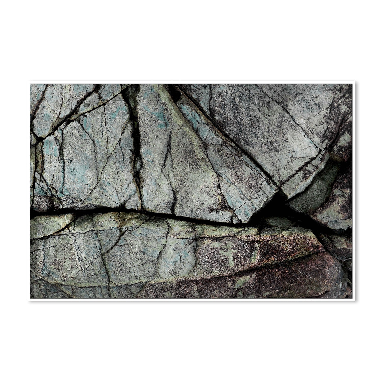 wall-art-print-canvas-poster-framed-Understory-5