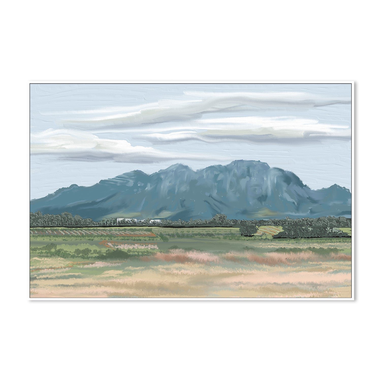 wall-art-print-canvas-poster-framed-Veiled In Shadows, Rooted In Vines, Stellenbosch, South Africa , By Jenna Alheit-5