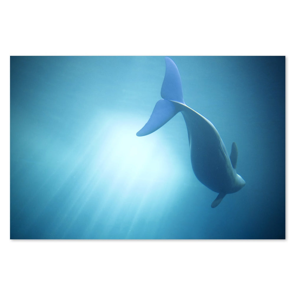 wall-art-print-canvas-poster-framed-Velure Moana, By Adachi Lintaman-by-Plus X Studio-Gioia Wall Art