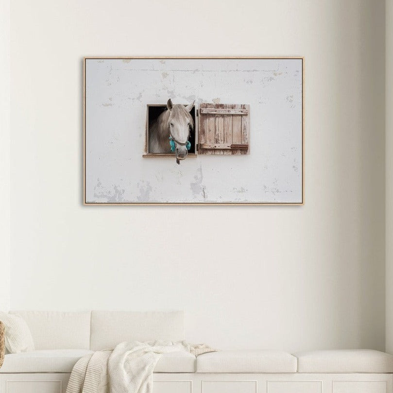 wall-art-print-canvas-poster-framed-Ventania, By Carey Coombs-by-Plus X Studio-Gioia Wall Art