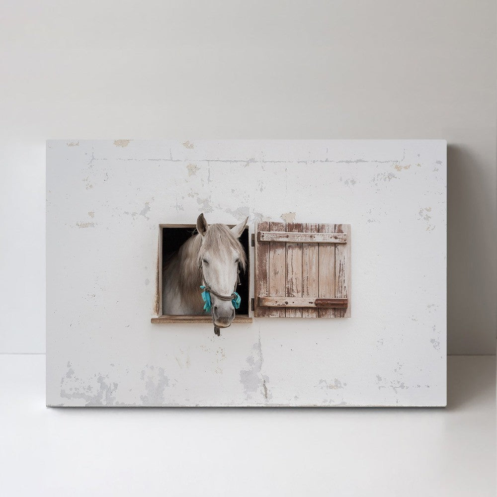wall-art-print-canvas-poster-framed-Ventania, By Carey Coombs-by-Plus X Studio-Gioia Wall Art