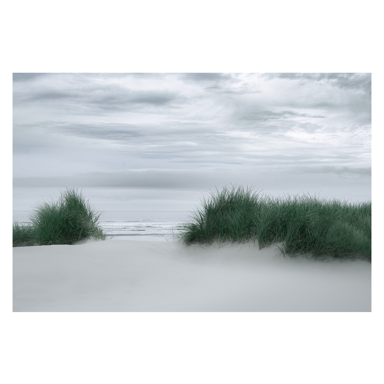 wall-art-print-canvas-poster-framed-View Through the Dune Grasses-1
