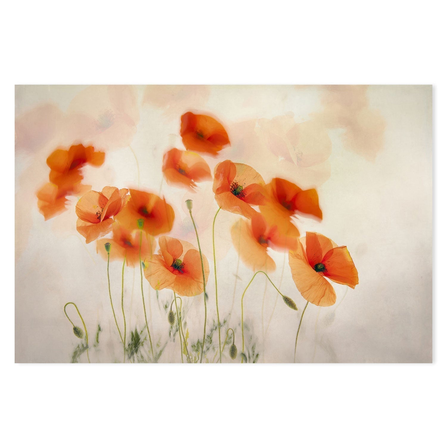 Waving In The Wind, by Nel Talen-Gioia-Prints-Framed-Canvas-Poster-GIOIA-WALL-ART