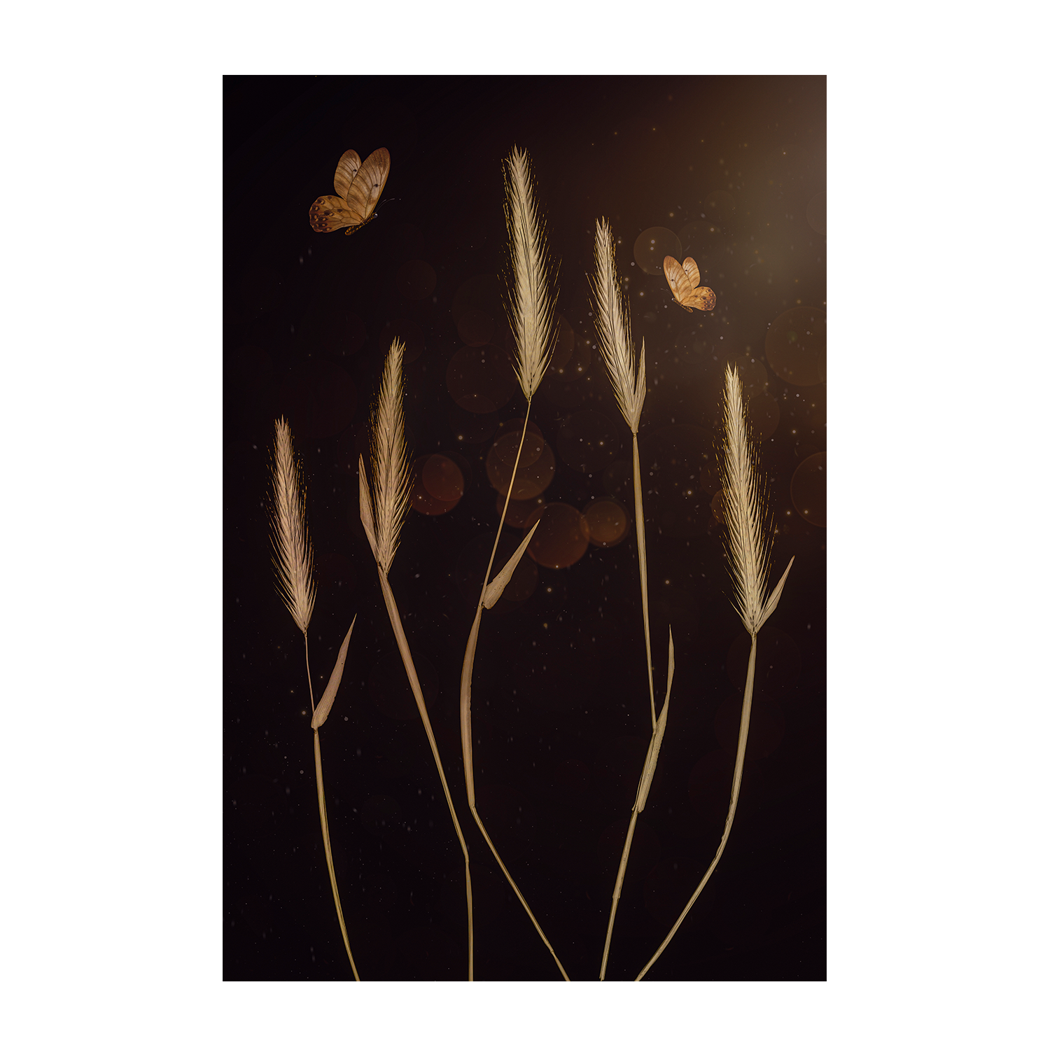 wall-art-print-canvas-poster-framed-When It Is Dark-1