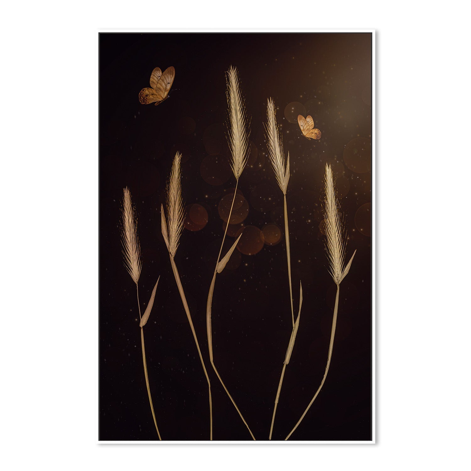 wall-art-print-canvas-poster-framed-When It Is Dark-5