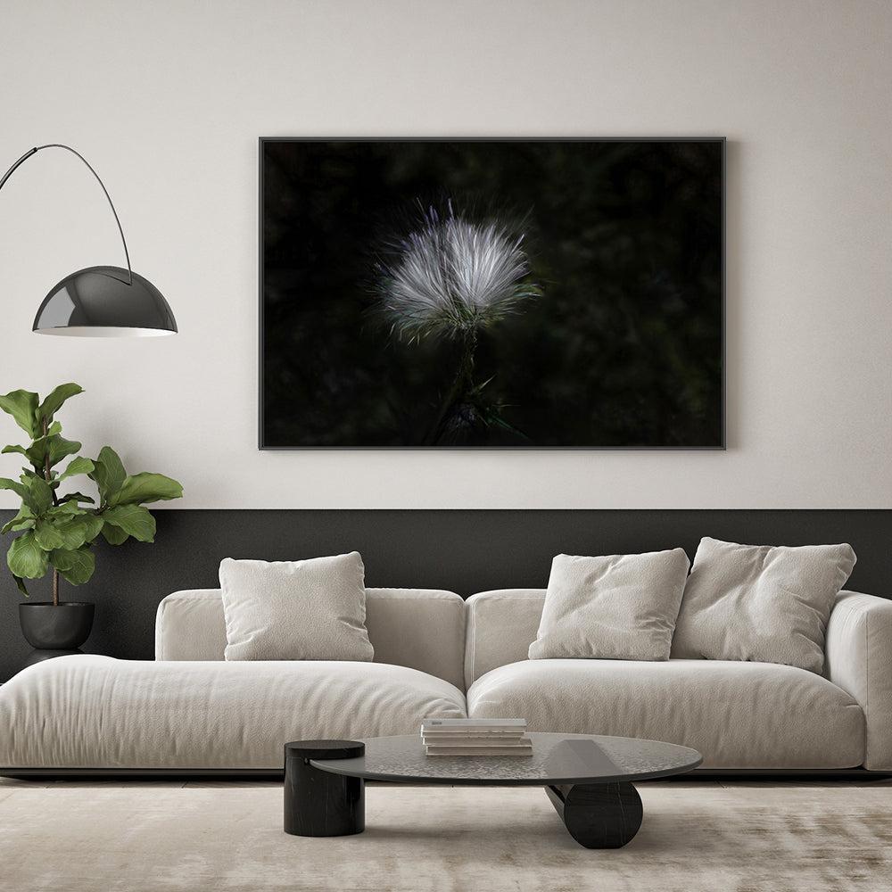 wall-art-print-canvas-poster-framed-White And Violet Blossoming Plant , By Gilbert Claes-GIOIA-WALL-ART