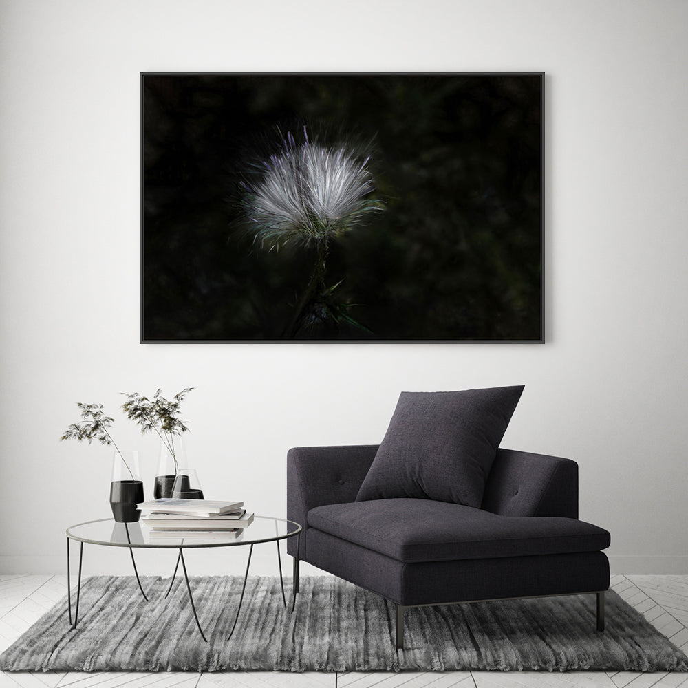 wall-art-print-canvas-poster-framed-White And Violet Blossoming Plant , By Gilbert Claes-GIOIA-WALL-ART