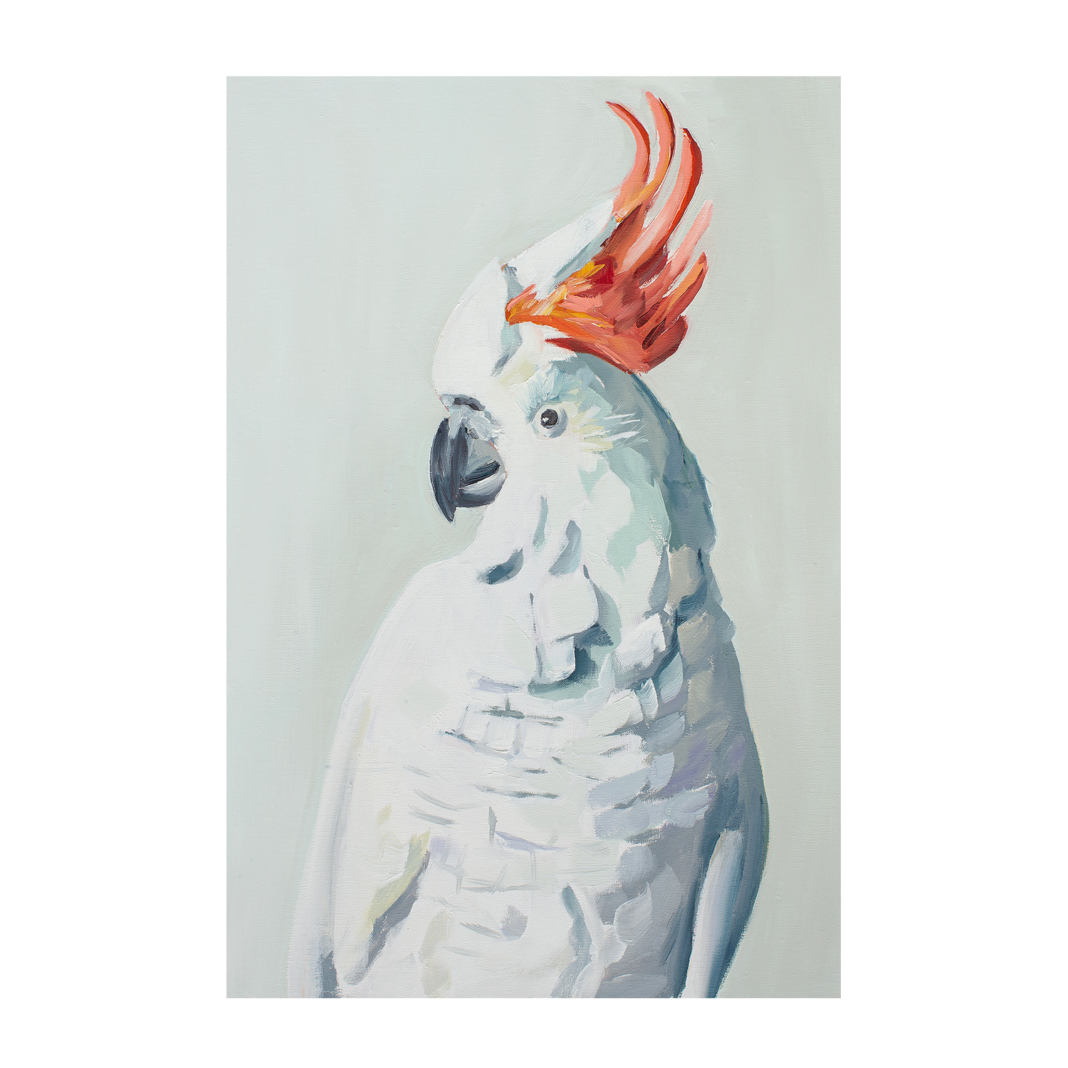 wall-art-print-canvas-poster-framed-White Cockadoo , By Jenny Westenhofer Art-1