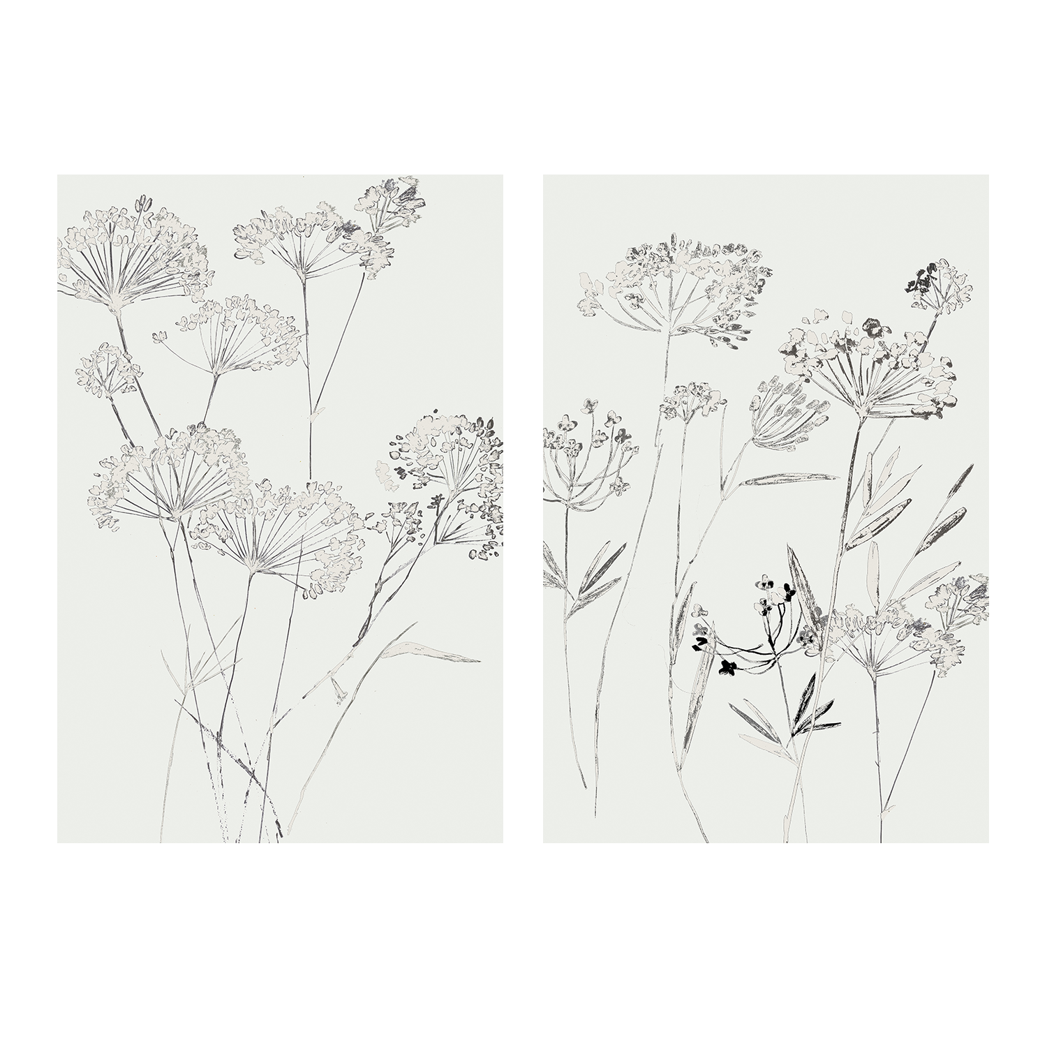 wall-art-print-canvas-poster-framed-White Delicate, Style A & B, Set Of 2 , By Asia Jensen-1