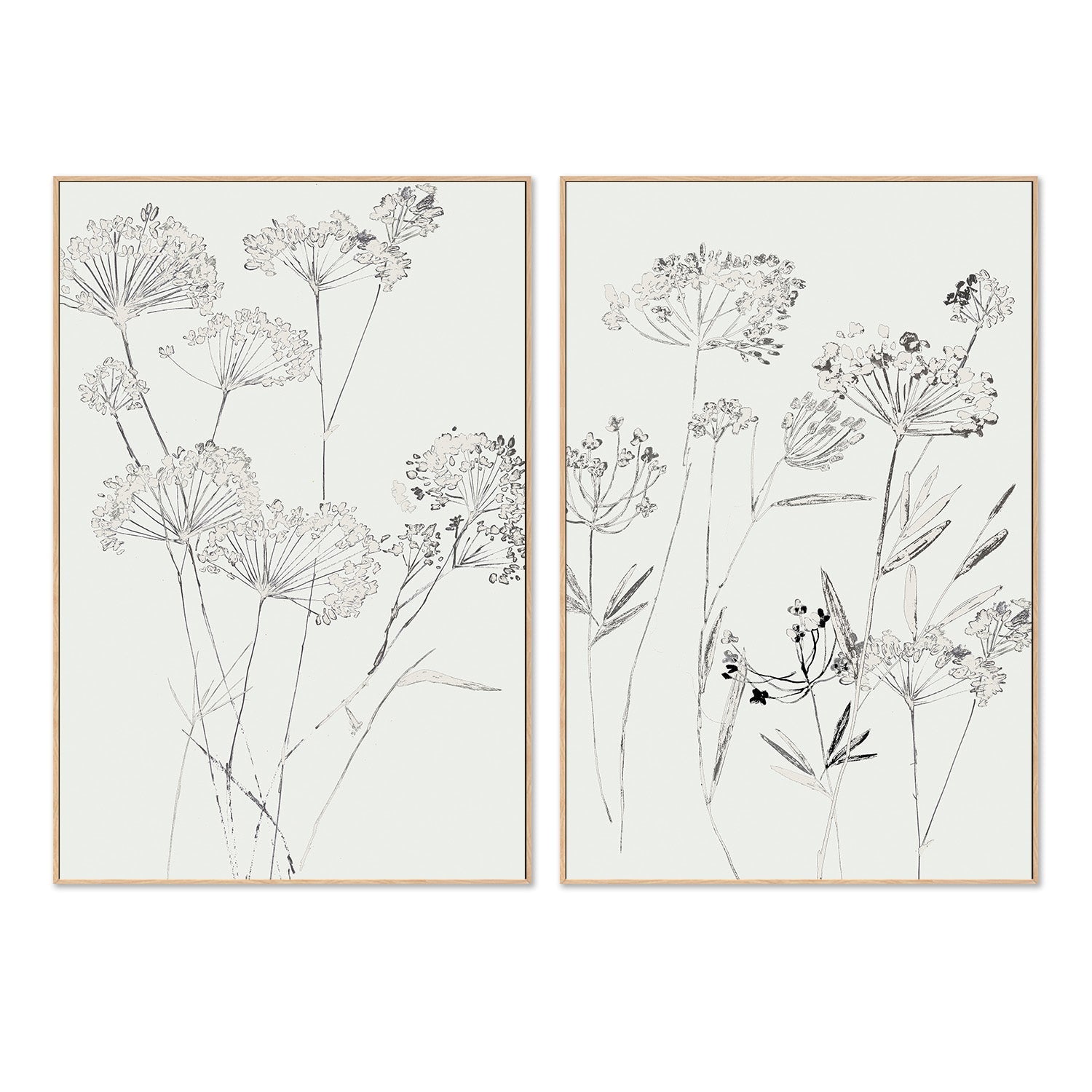 wall-art-print-canvas-poster-framed-White Delicate, Style A & B, Set Of 2 , By Asia Jensen-4