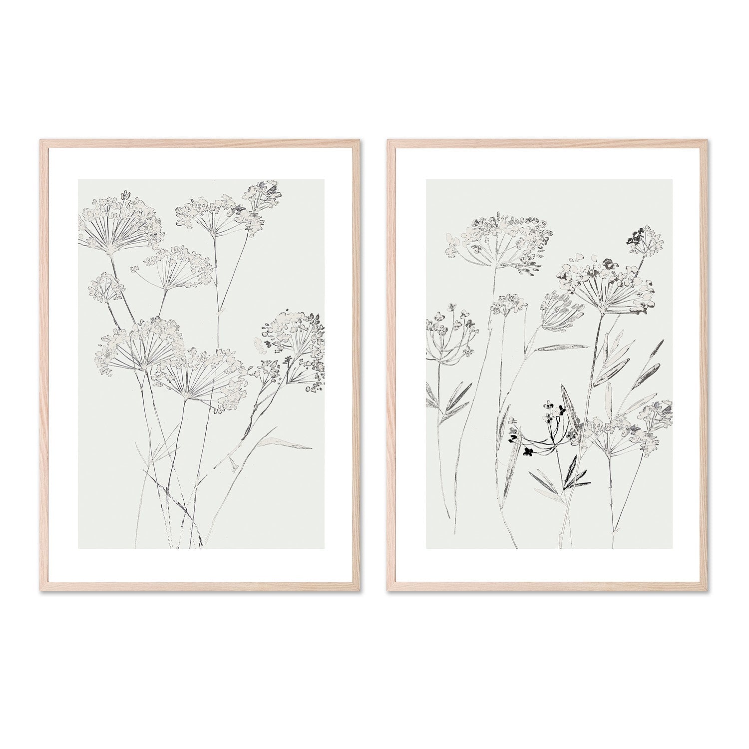 wall-art-print-canvas-poster-framed-White Delicate, Style A & B, Set Of 2 , By Asia Jensen-6