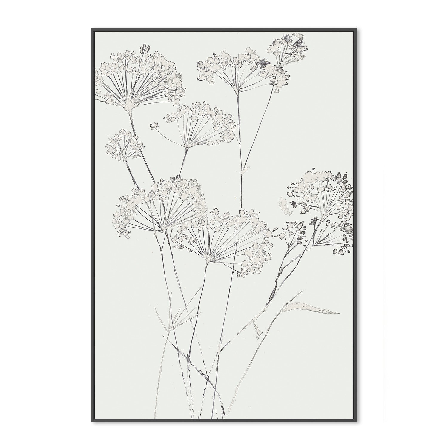 wall-art-print-canvas-poster-framed-White Delicate, Style A , By Asia Jensen-3