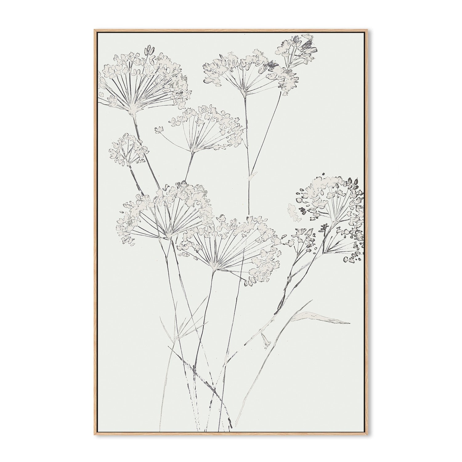 wall-art-print-canvas-poster-framed-White Delicate, Style A , By Asia Jensen-4