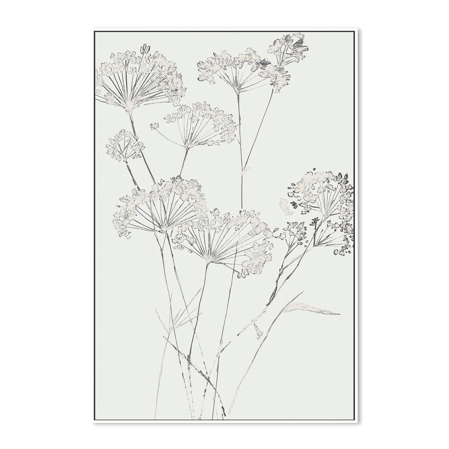 wall-art-print-canvas-poster-framed-White Delicate, Style A , By Asia Jensen-5