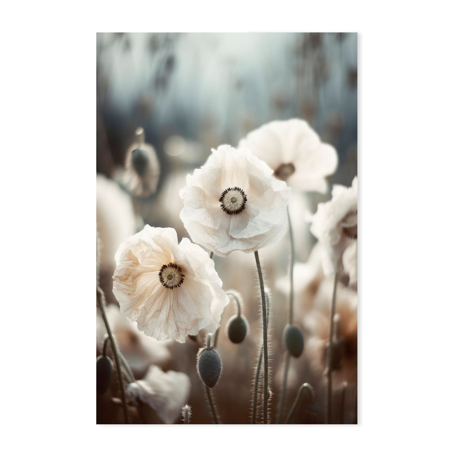wall-art-print-canvas-poster-framed-White Poppy Field , By Treechild-GIOIA-WALL-ART