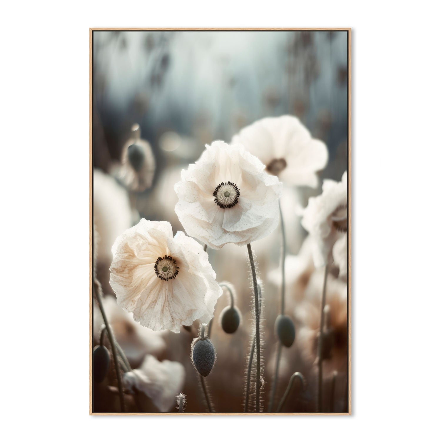 wall-art-print-canvas-poster-framed-White Poppy Field , By Treechild-GIOIA-WALL-ART
