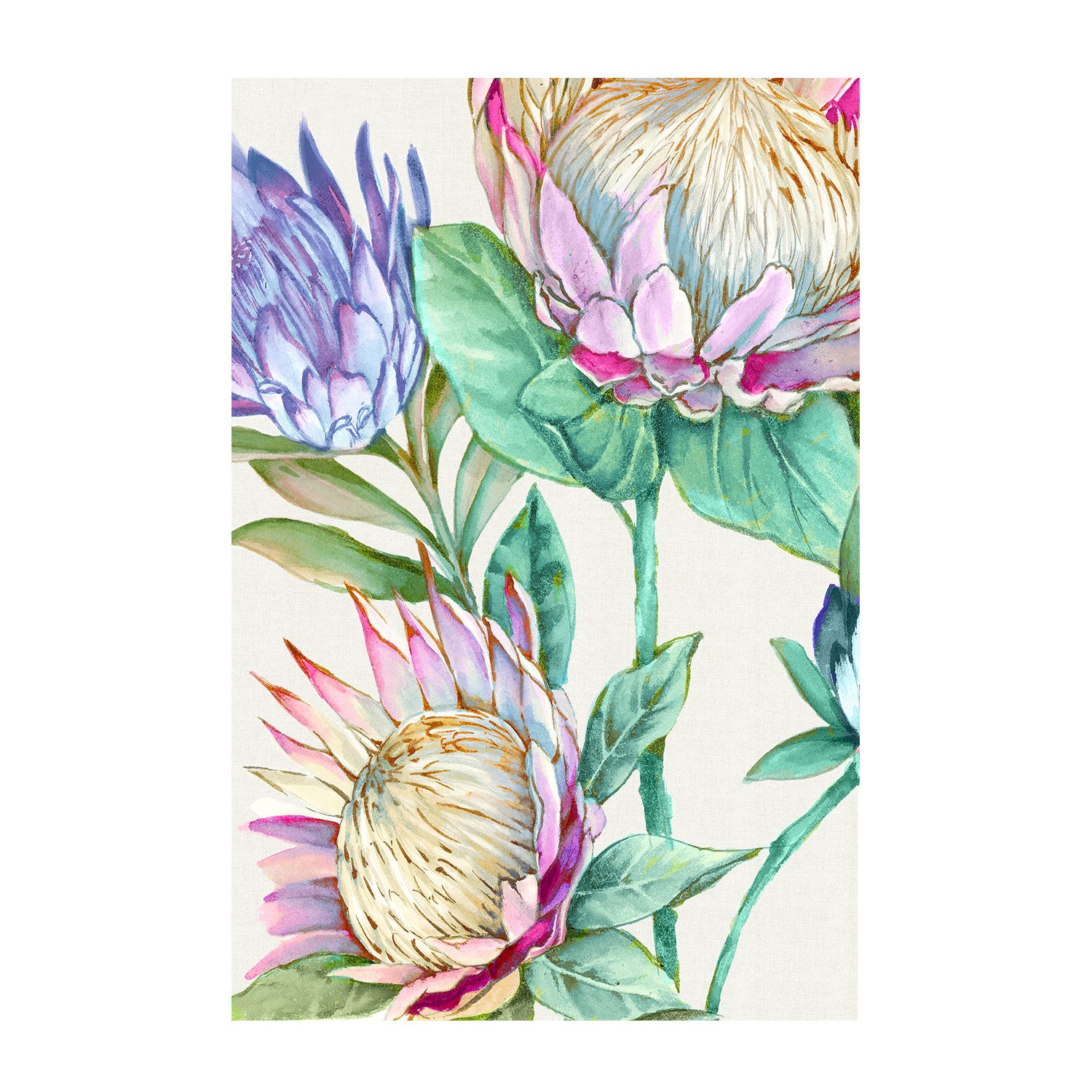 wall-art-print-canvas-poster-framed-Wild King Protea , By Alex Black-1