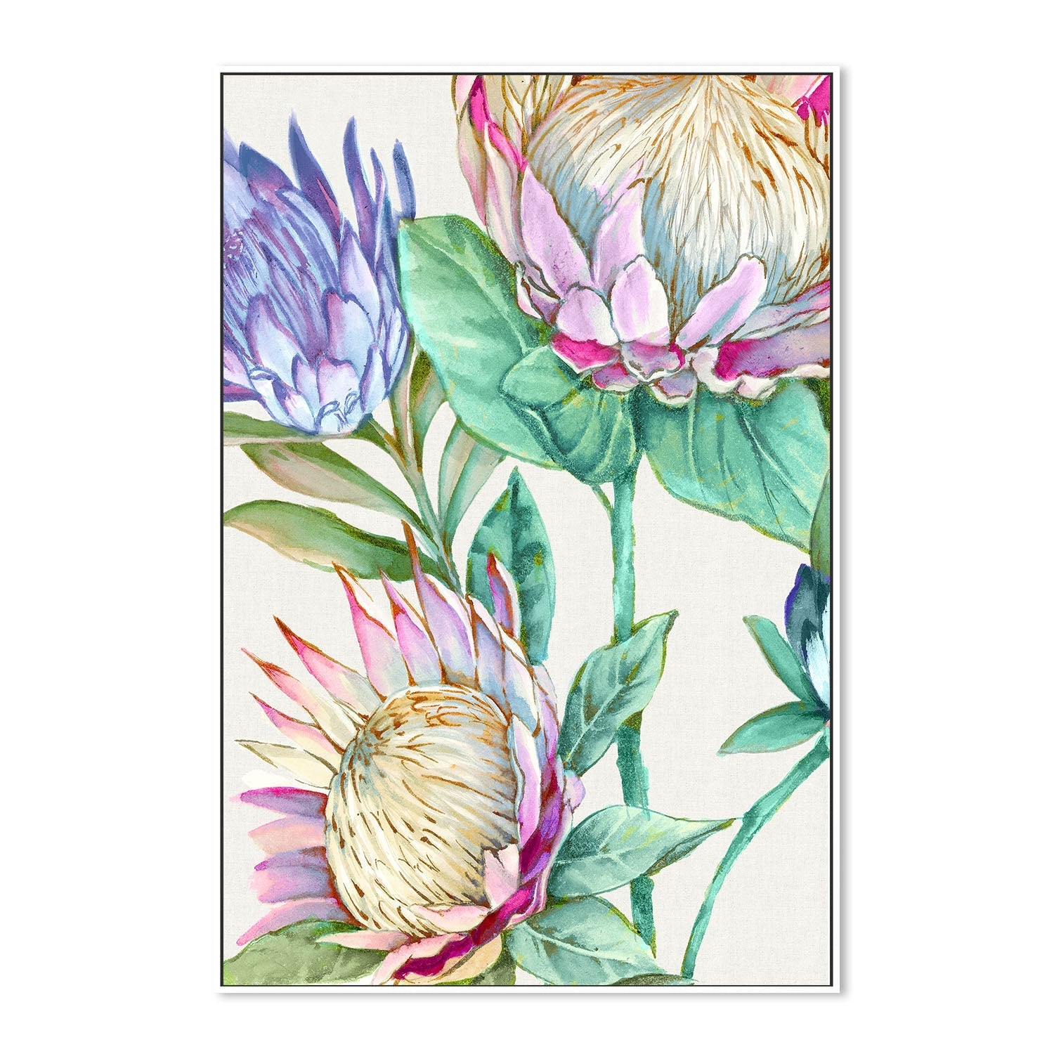 wall-art-print-canvas-poster-framed-Wild King Protea , By Alex Black-5