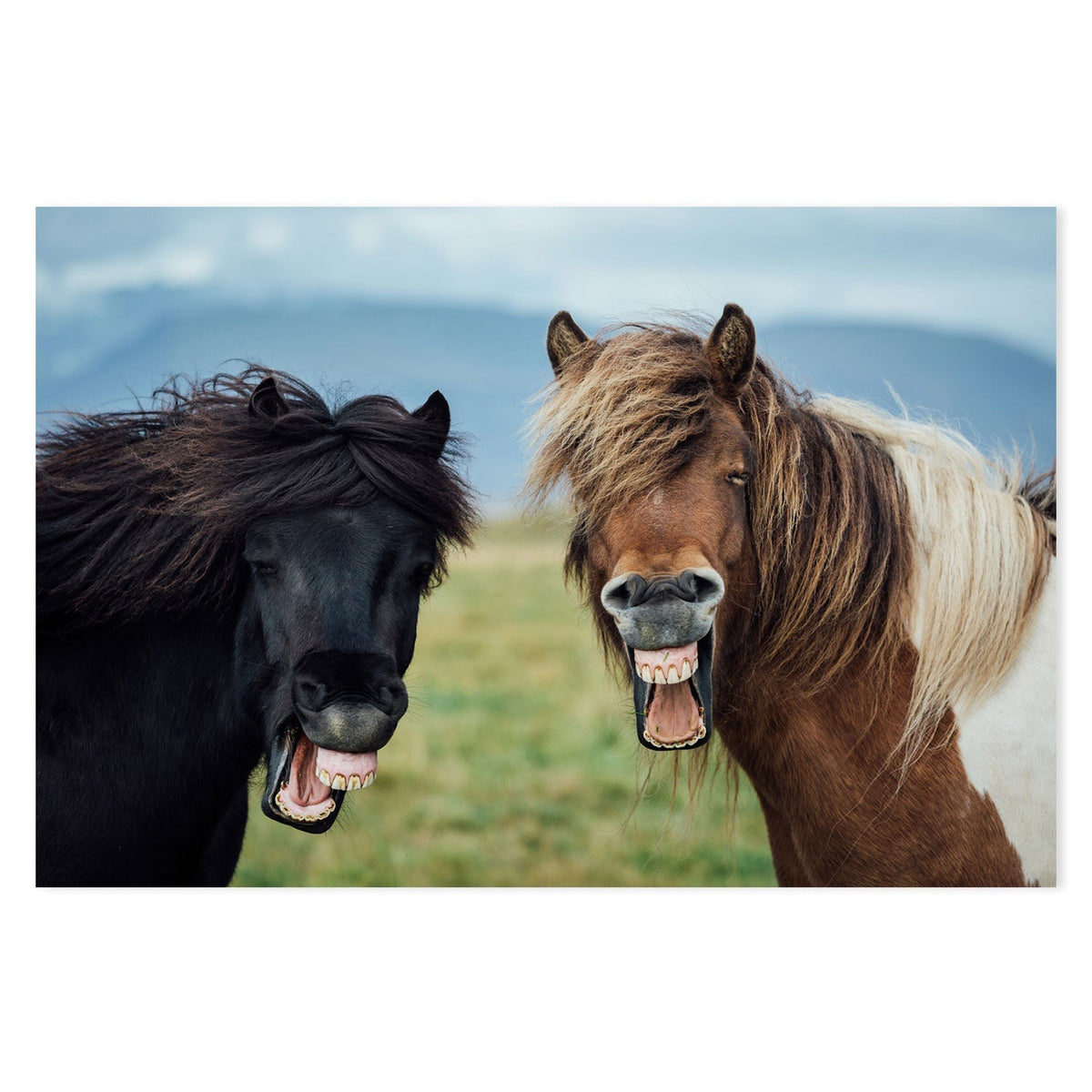 wall-art-print-canvas-poster-framed-Wild Smile, by Nir Amos-by-Plus X Studio-Gioia Wall Art